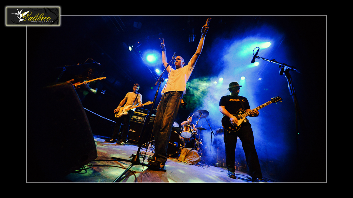 Swingin' Utters: DNA Lounge SF, CA