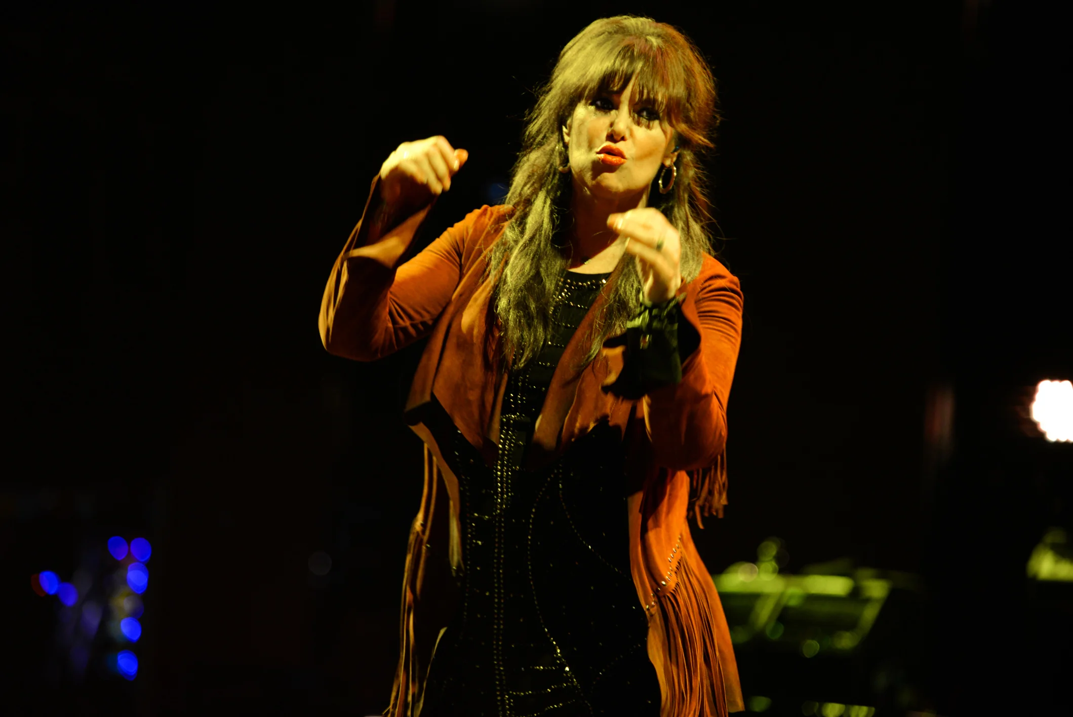 Ann Wilson: Heart