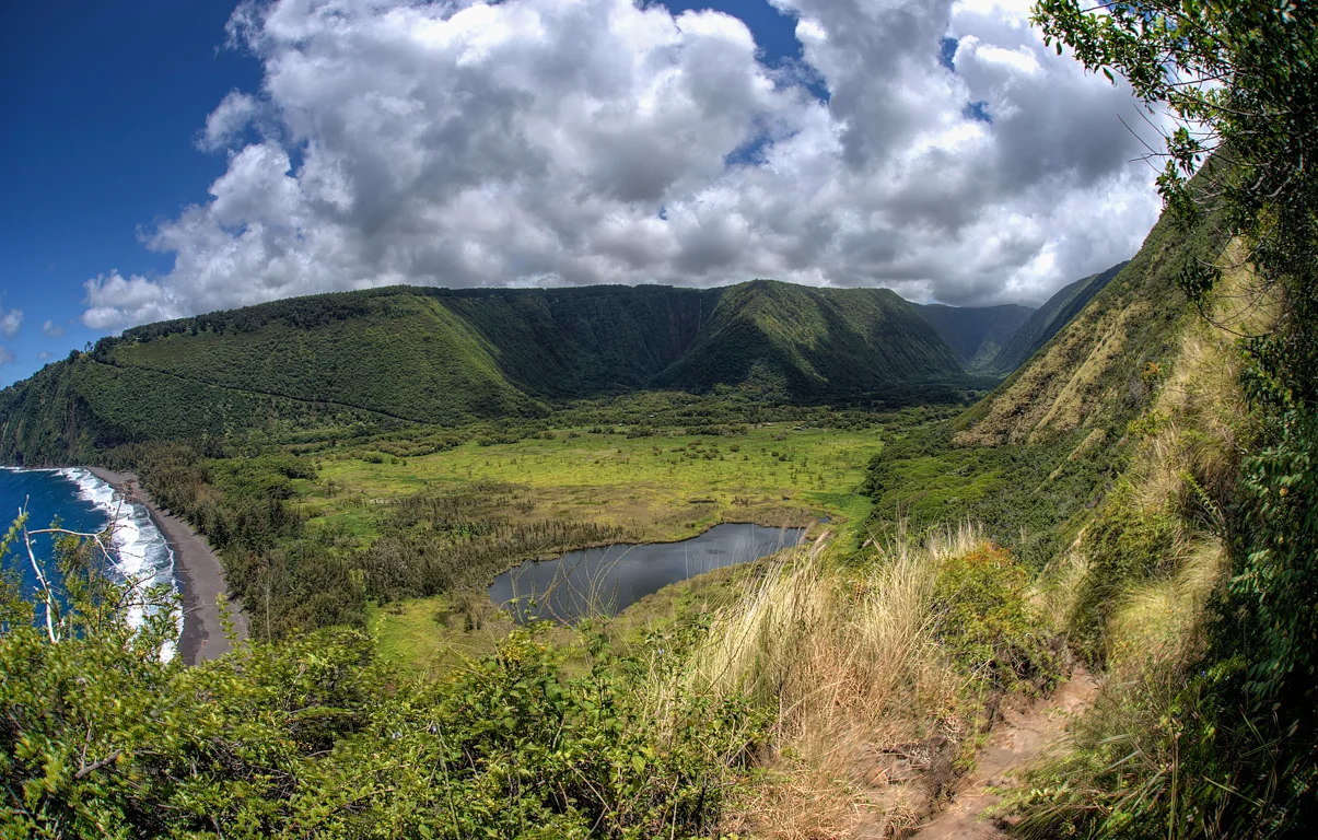 view from the trail 2.jpg