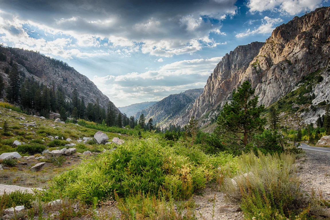 stanislaus forest overview 2.jpg
