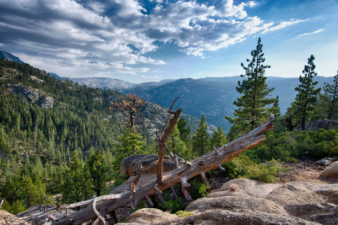 stanislaus national forest 2.jpg