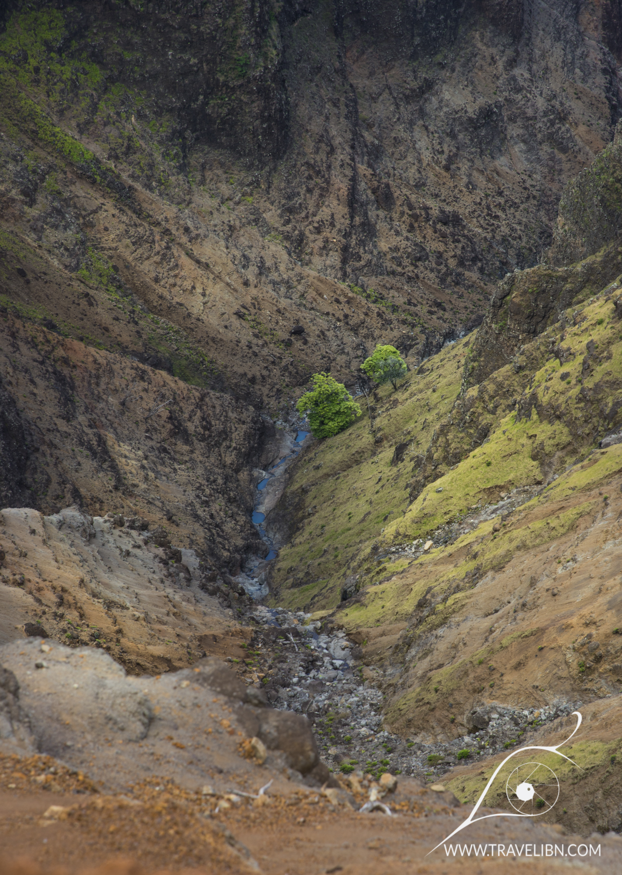 Waime River &nbsp;in&nbsp;Waimea Canyon