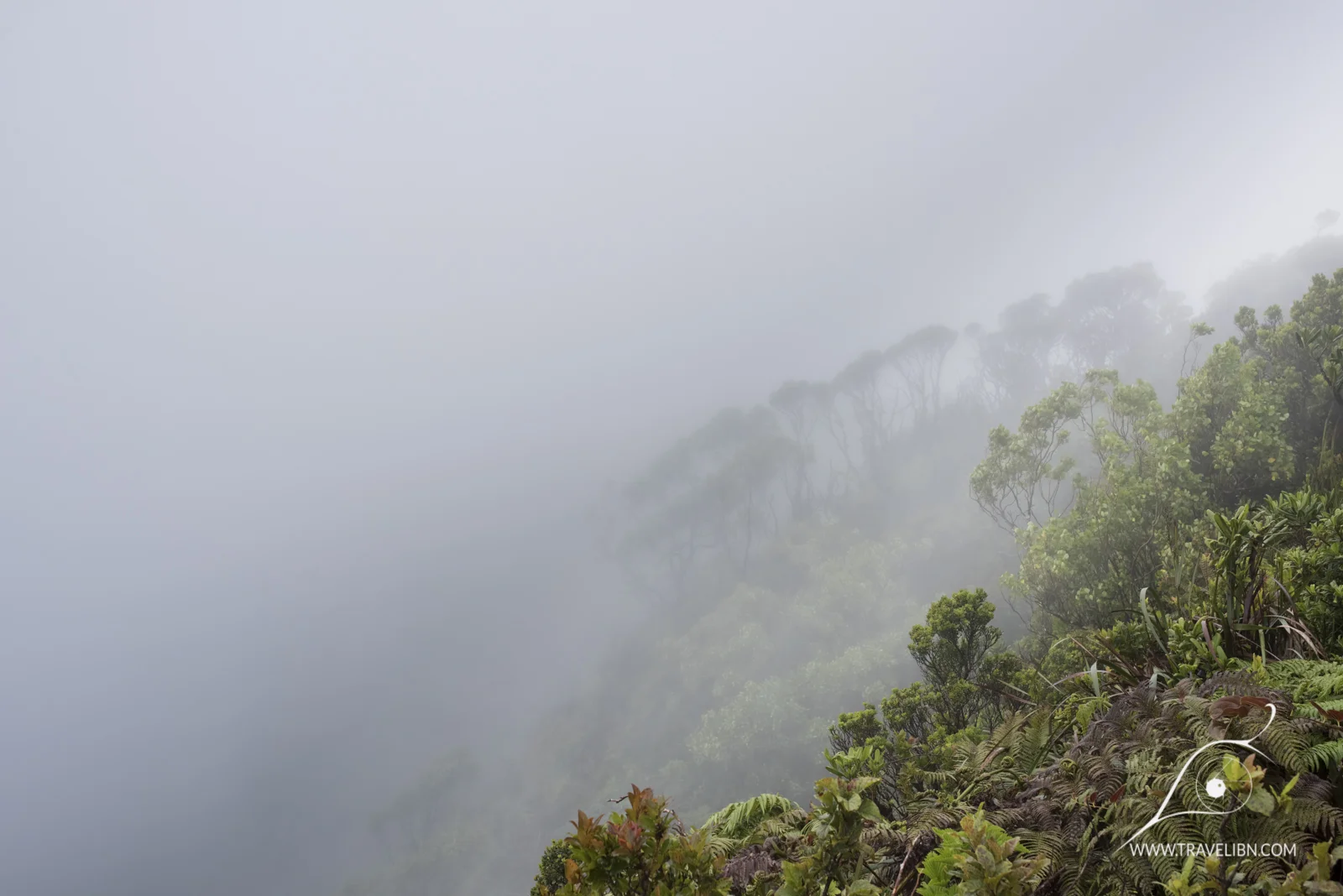 kauai-46.jpg