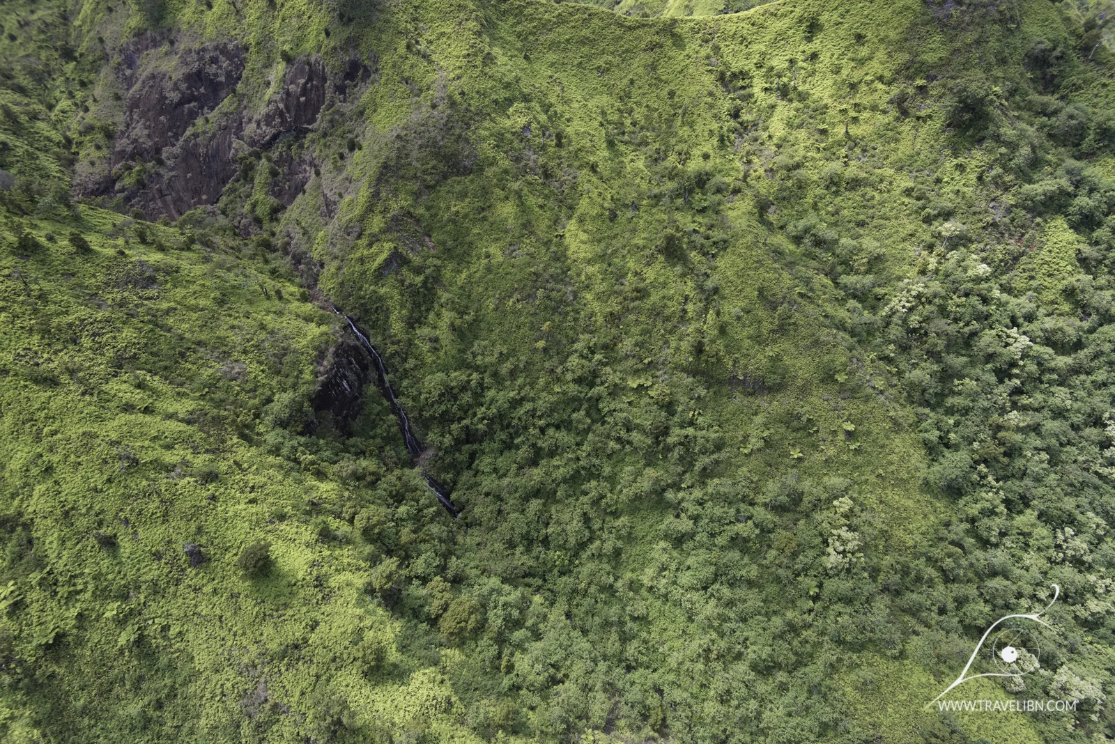 kauai-60.jpg