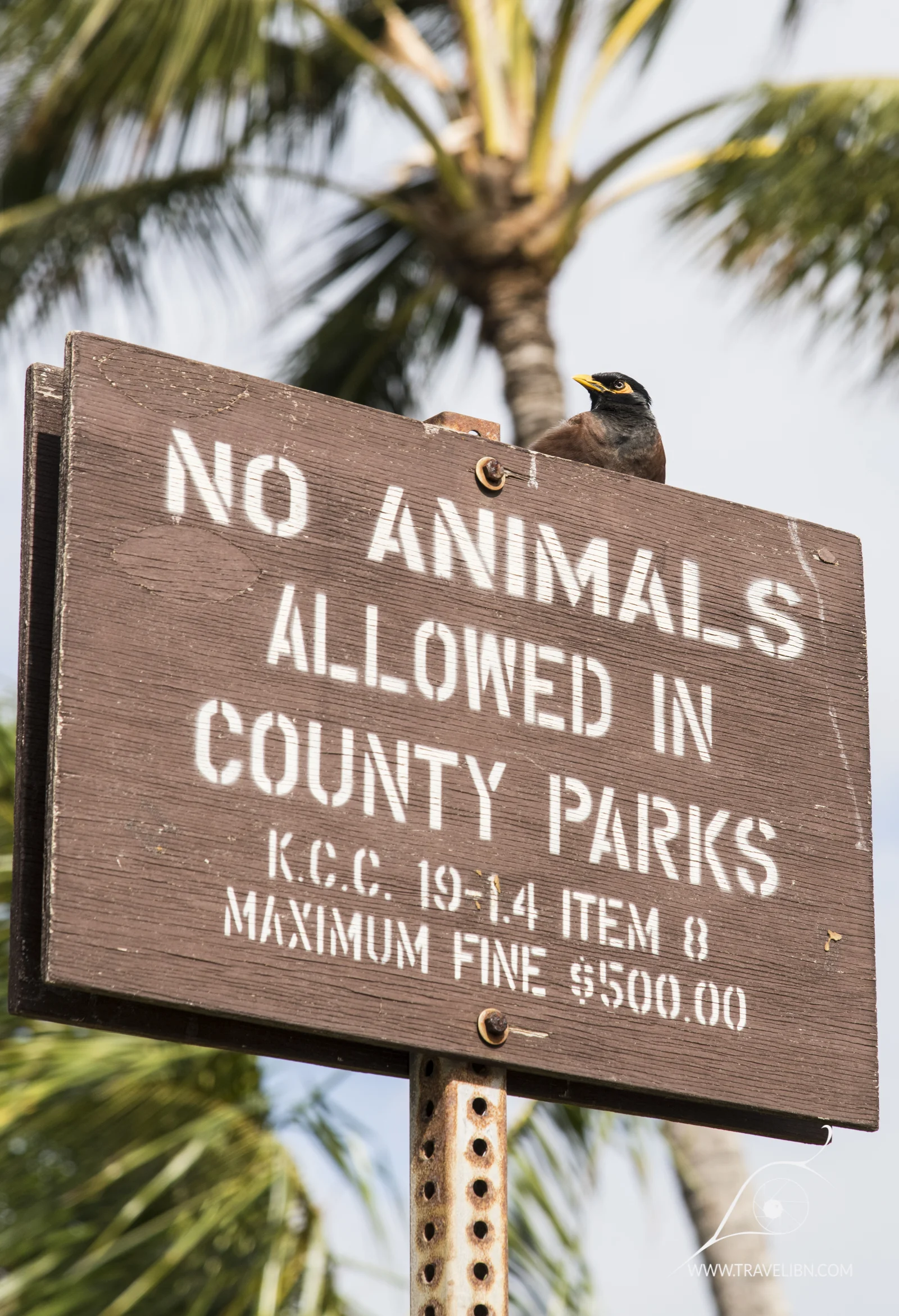 kauai-94.jpg