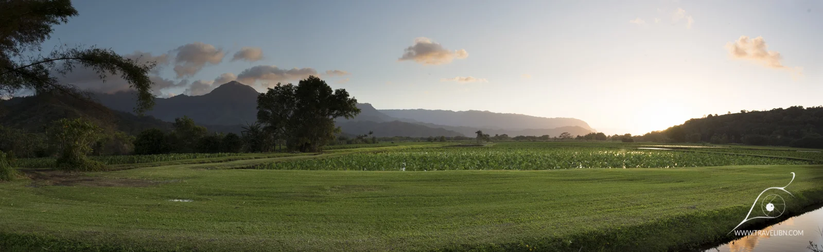 kauai-101.jpg