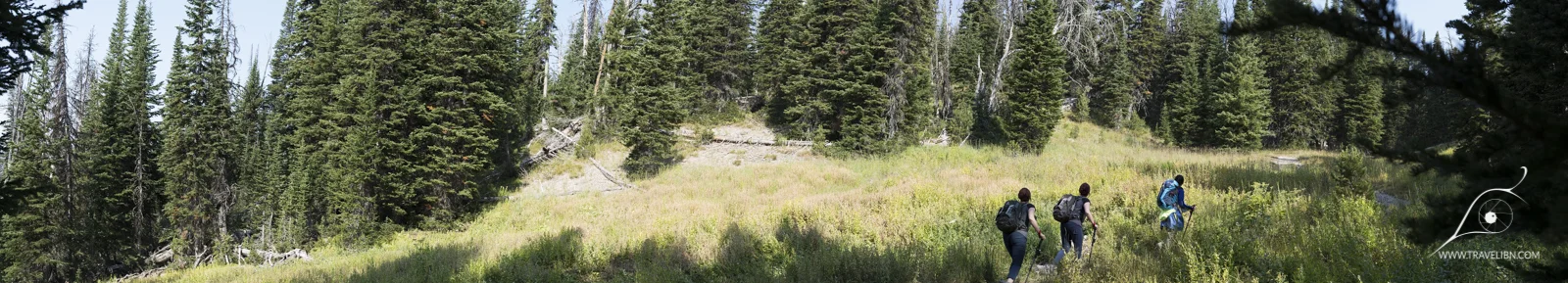 Lower slopes of Avalanche Peak 