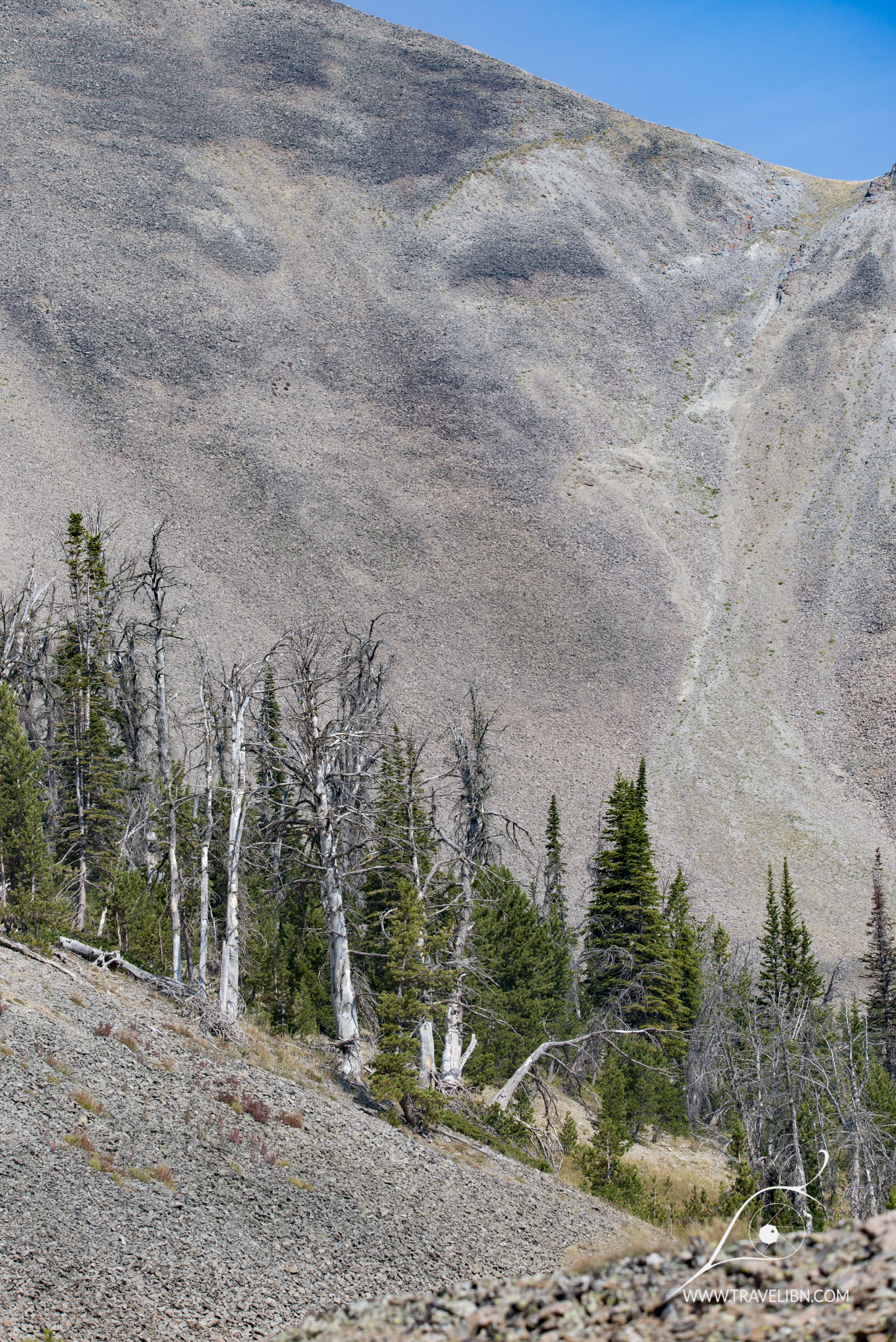 avalanche peak trail-14.jpg