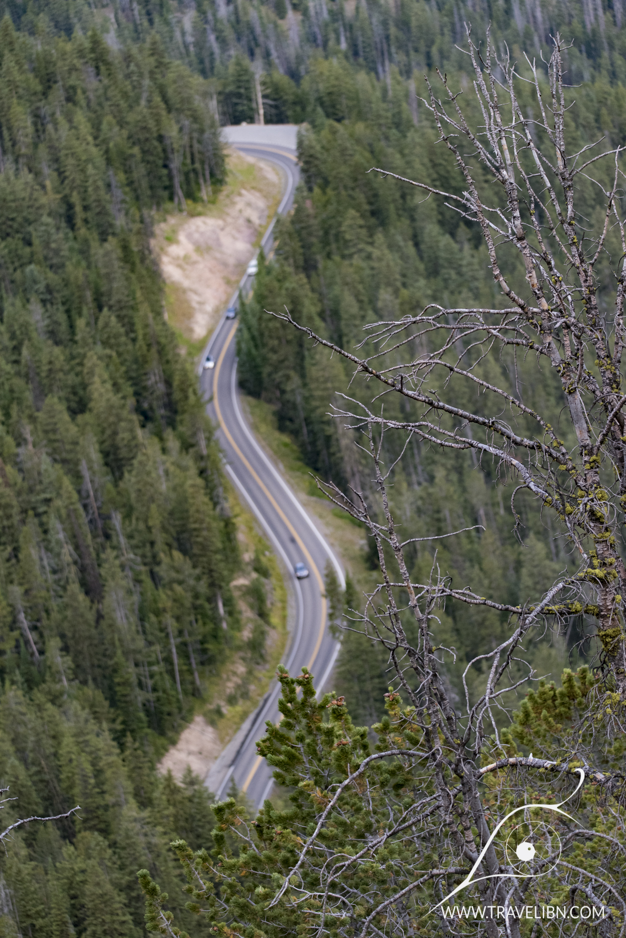 Mt. Washburn hike