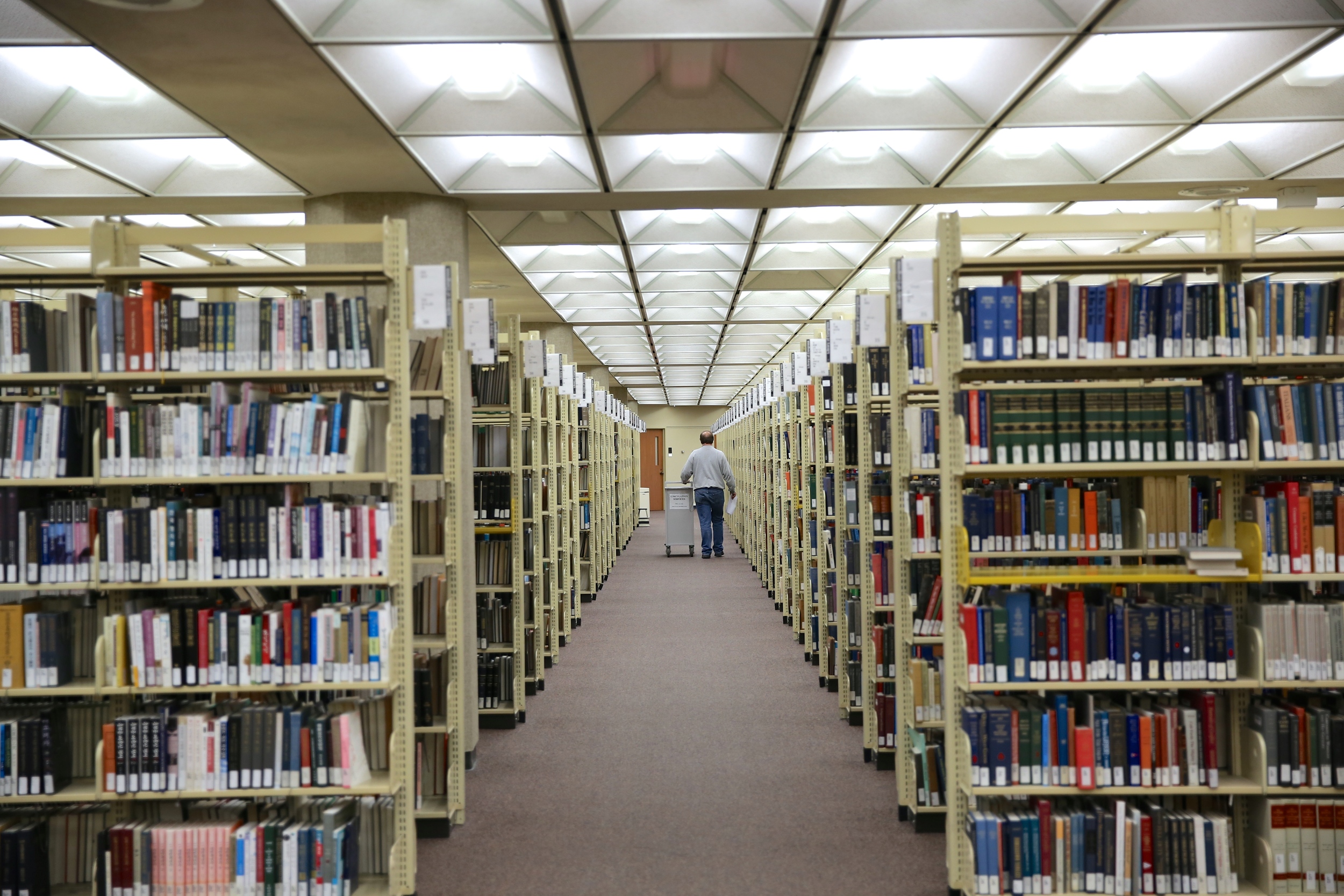 Custard in search of more books