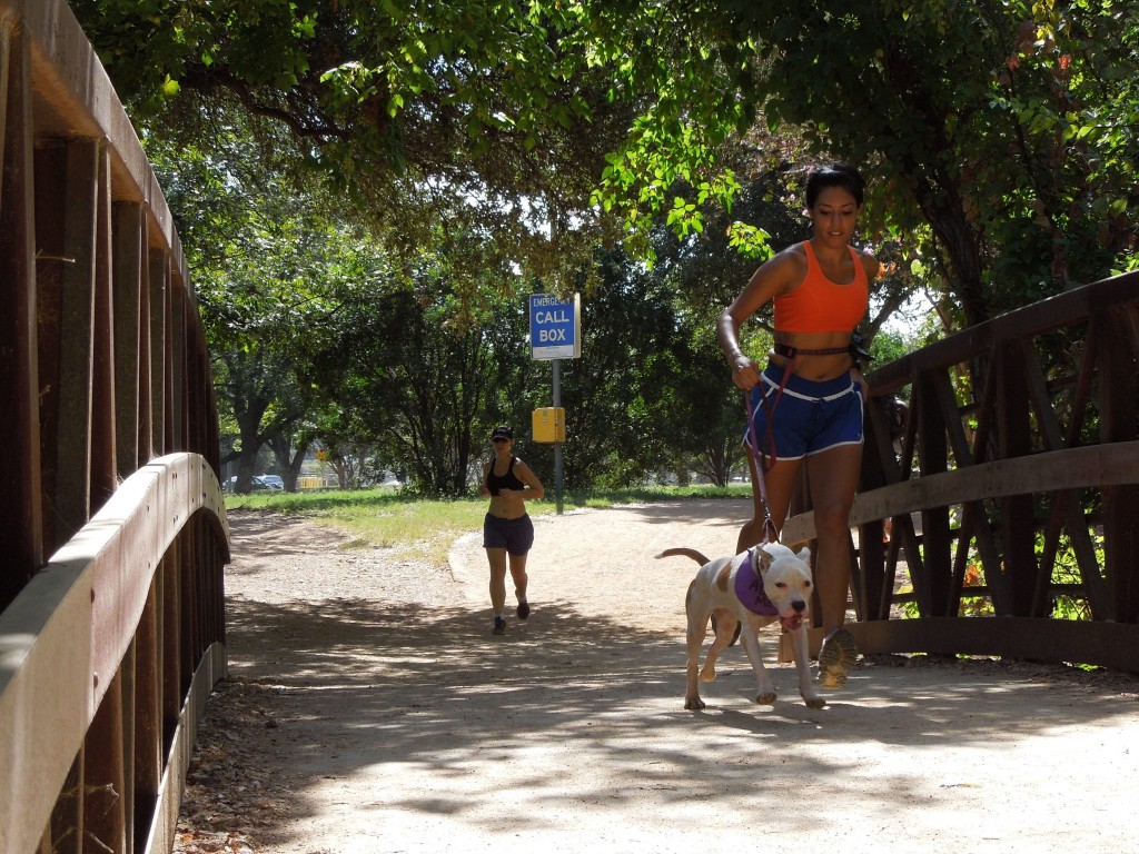 Photo courtesy of RuffTail Runners.