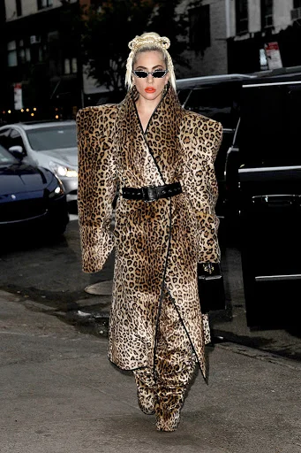 Photo courtesy of Dailymail UK