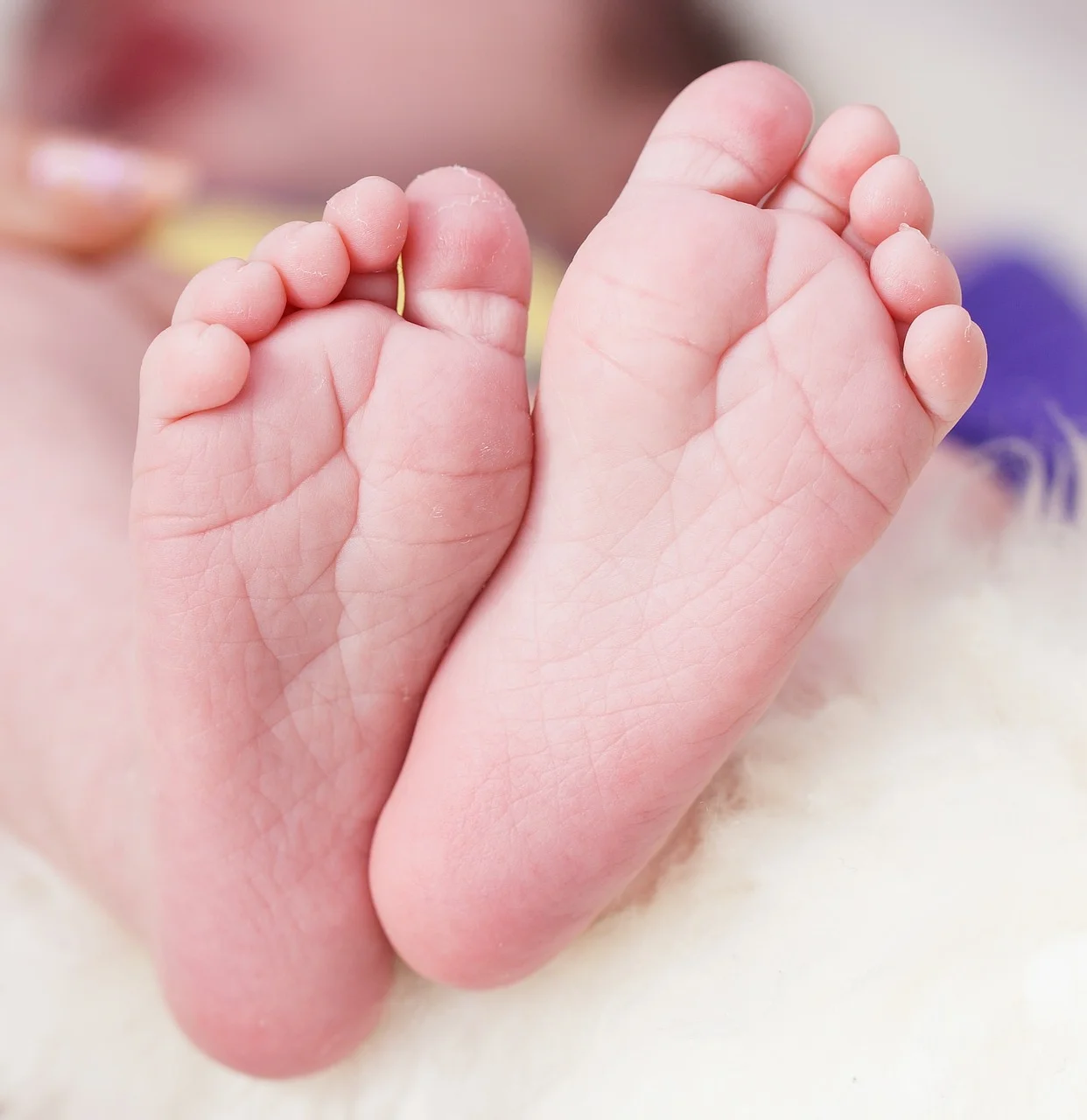 child-786812_1280.jpg