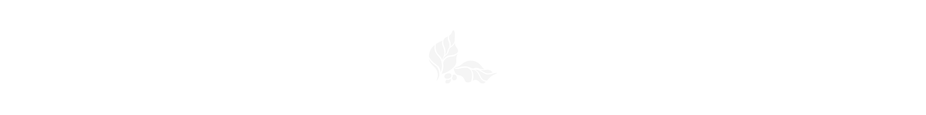 HC_Header.png