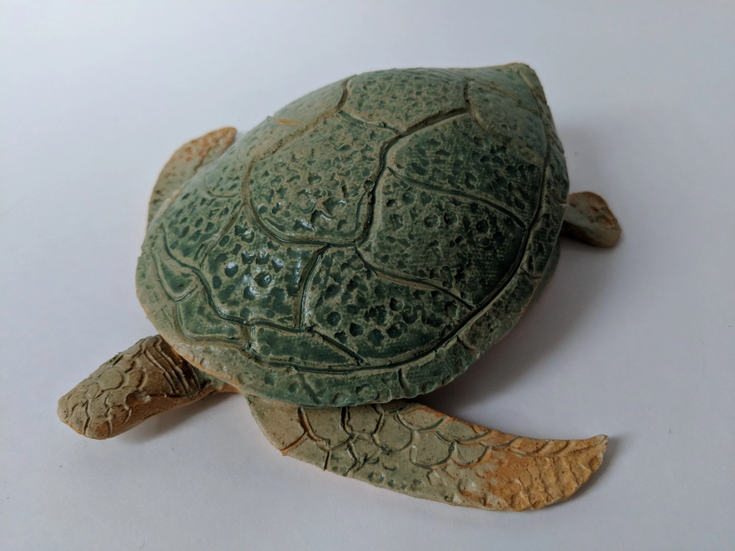 Turtle box by Chelsea F.