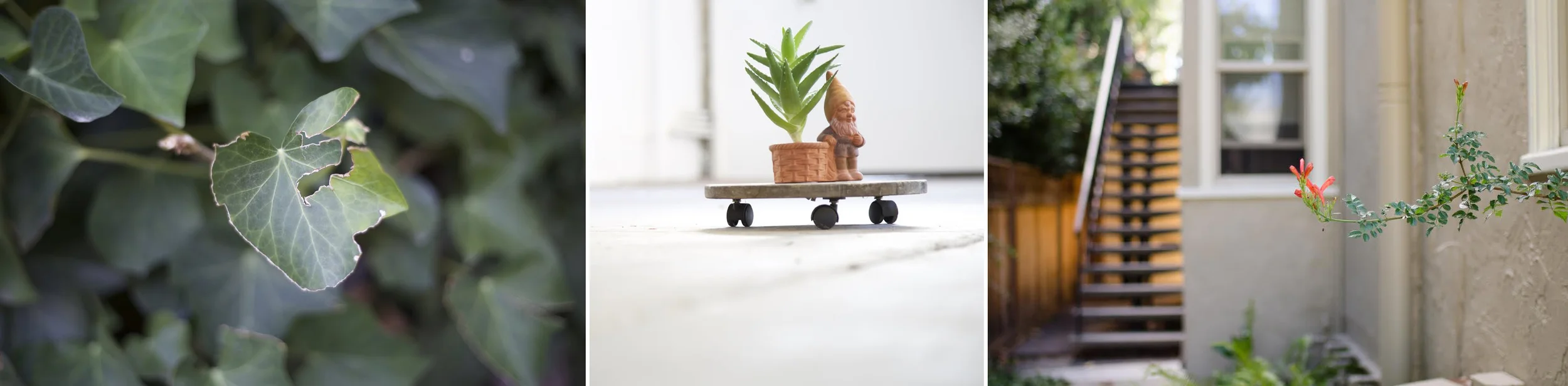 Images shot by attendees at this workshop. Credit: Tamara Picazo and Vanessa Rocha.