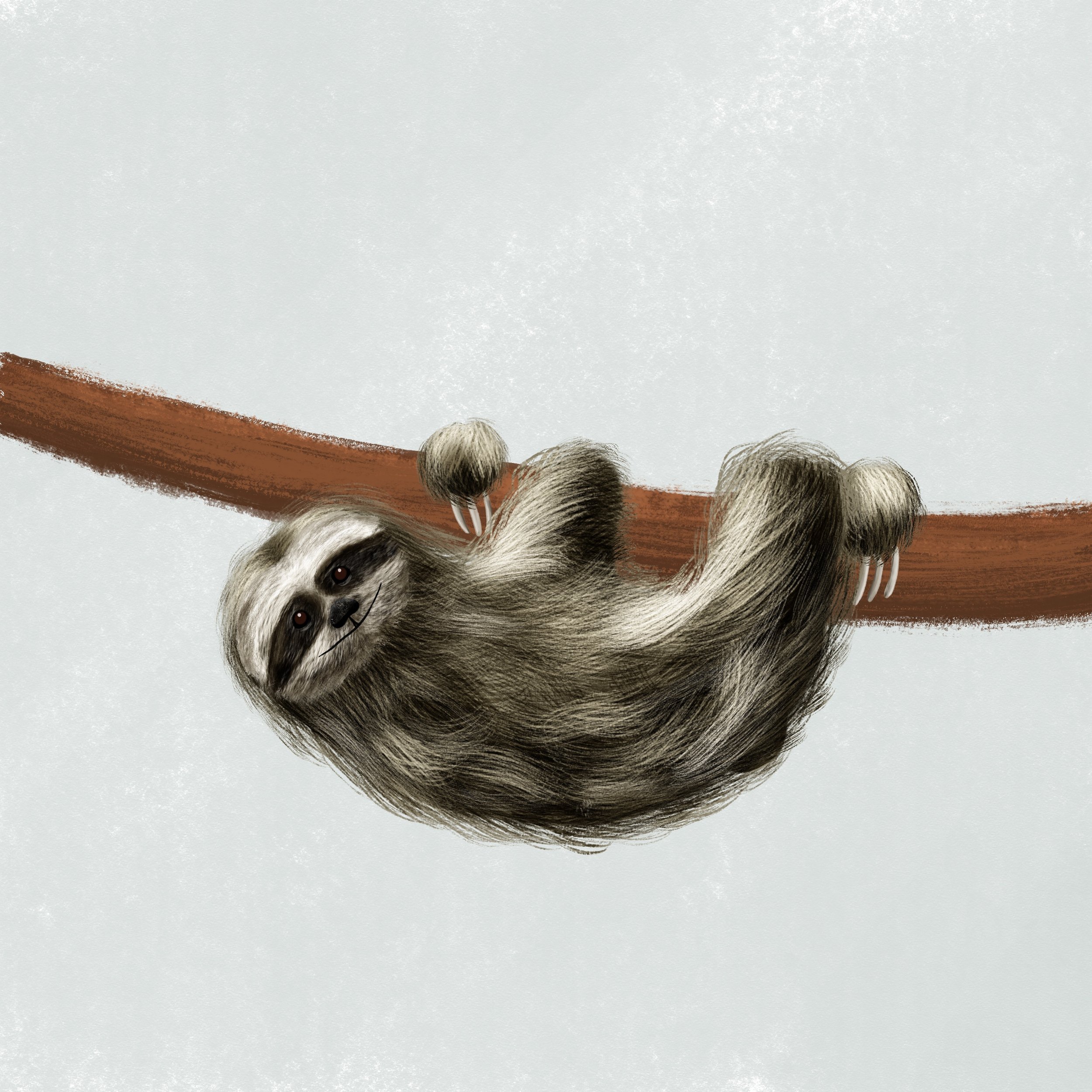 BB__Sloth_Fur_Study.jpg
