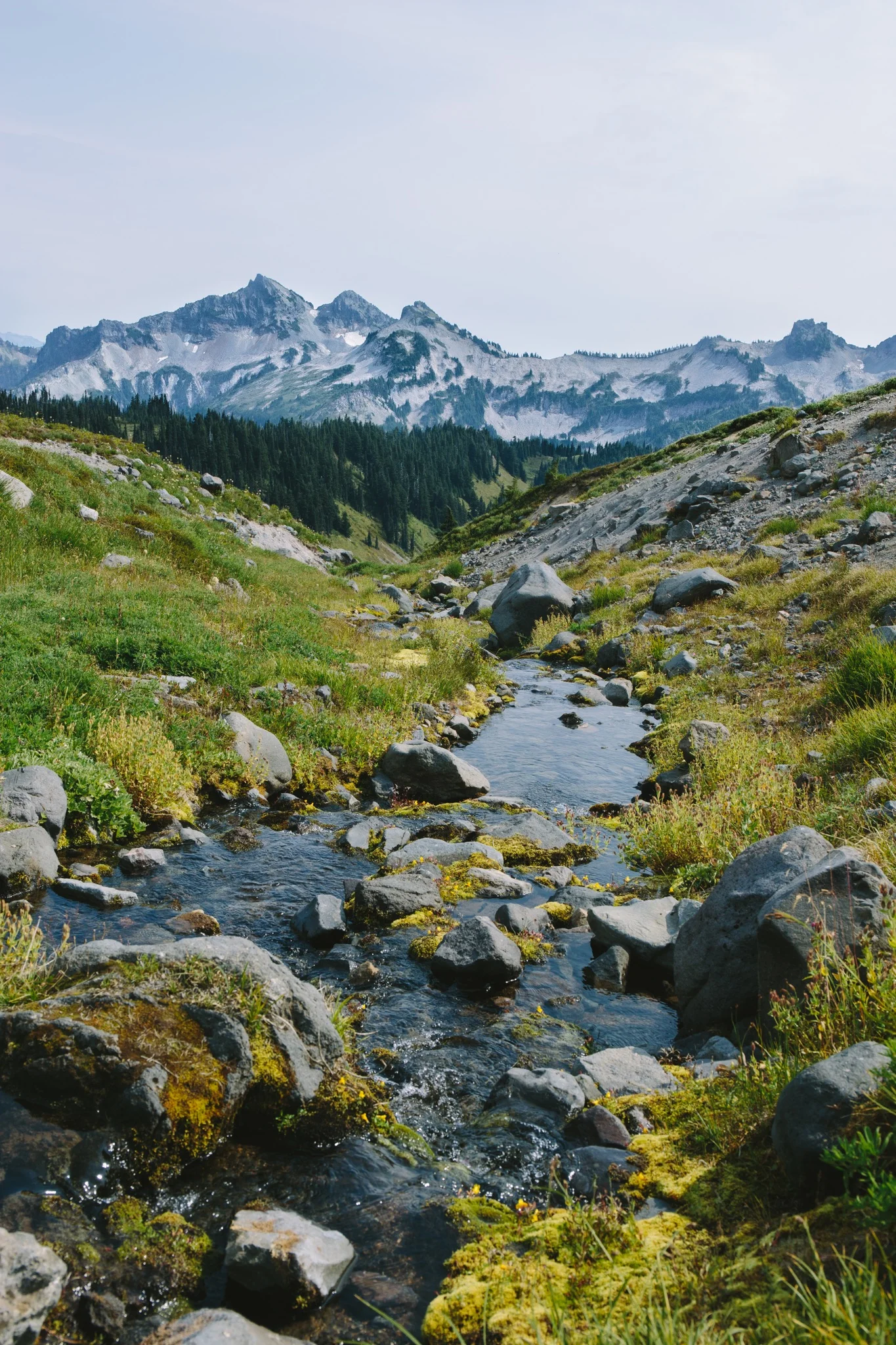 PARADISE IN WASHINGTON