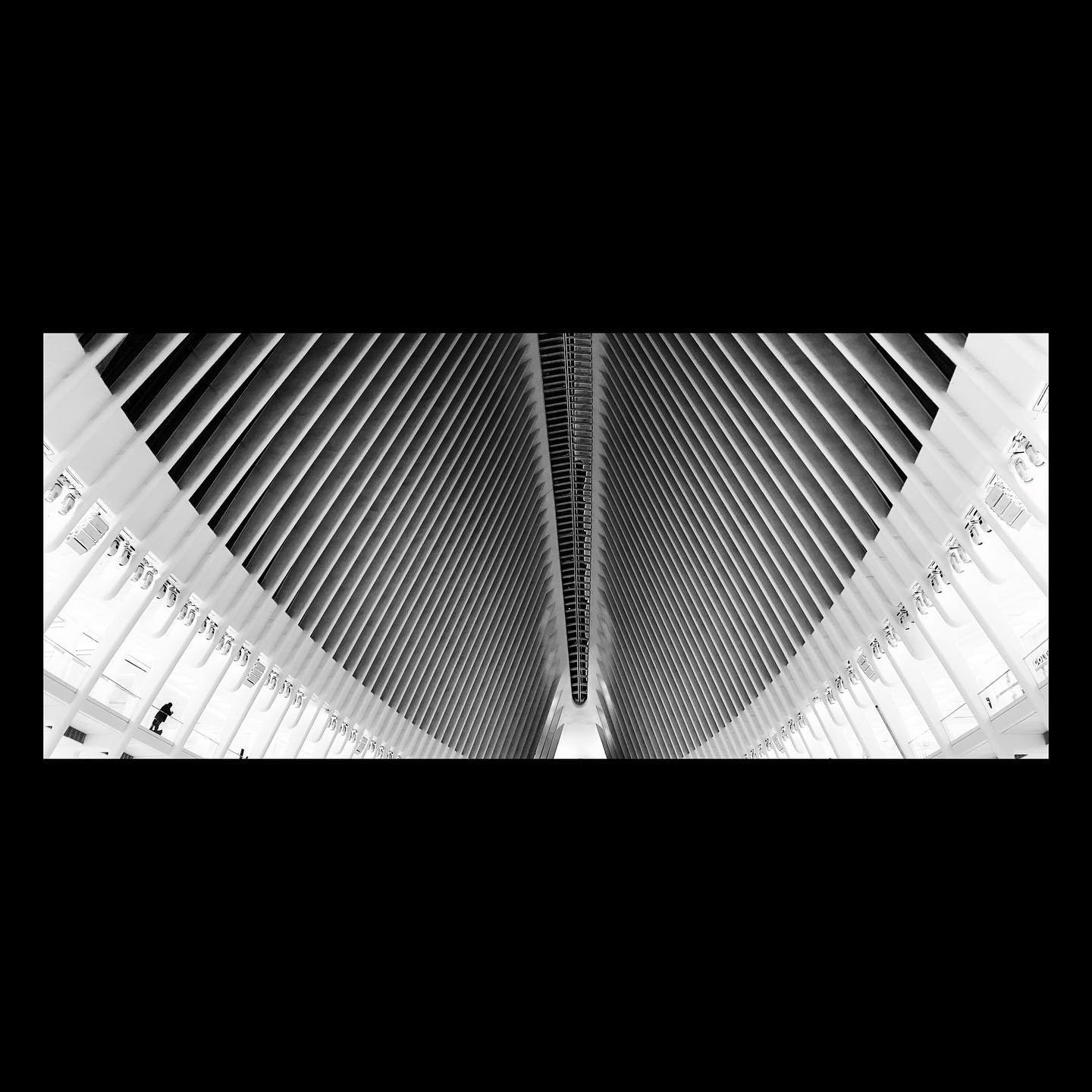 Wings. #momentanamorphic #moment #oculus #wtc #nyc #bw #blackandwhite #agameoftones #lines #empty #shotoniphone #iphone11pro #snapseed #whitagram
