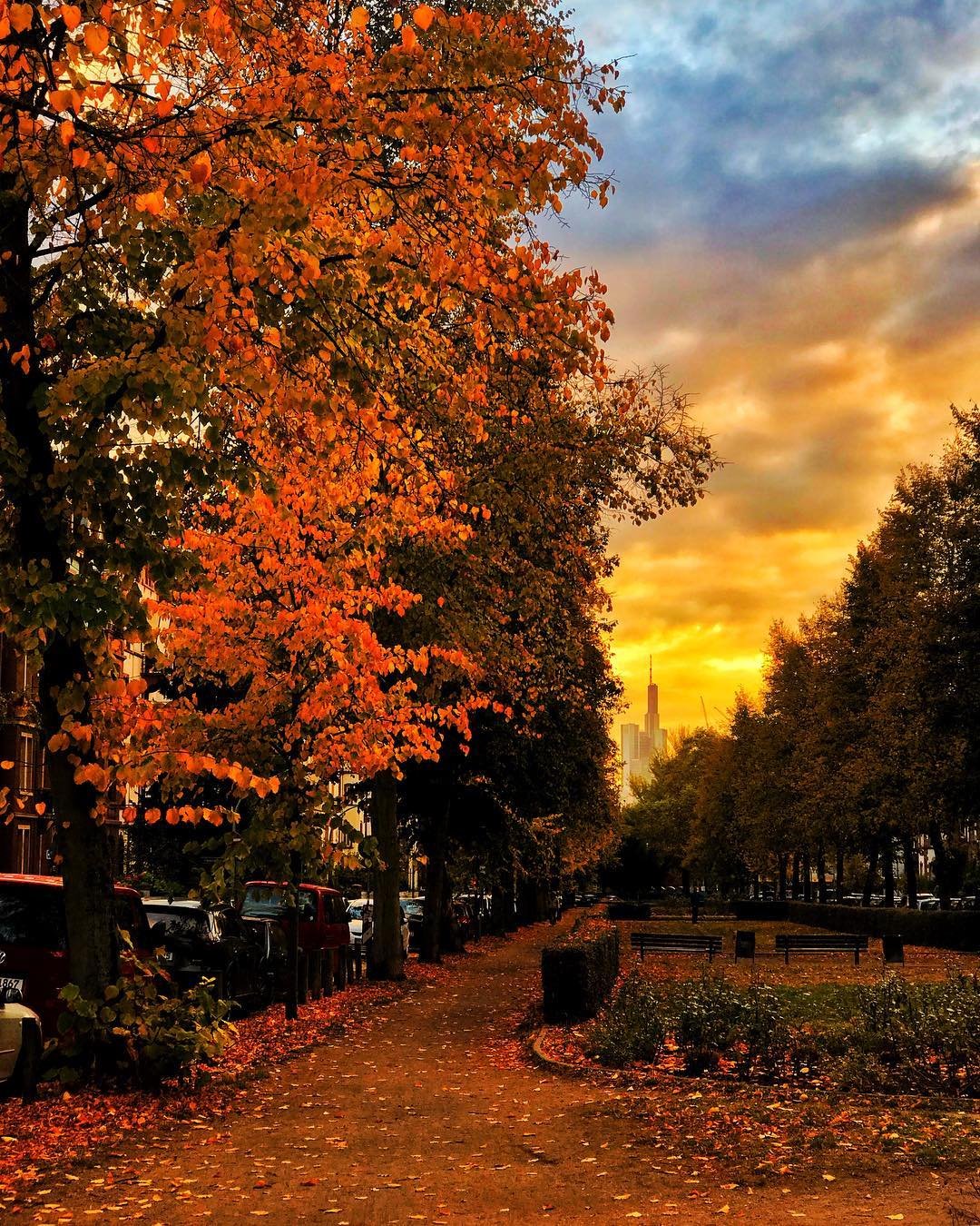Fall in Frankfurt #frankfurtgermany #autumn #fall #foliage #leaves #dusk #magichour #snapseed #iphone7plus #deutschland #germany #cloudporn #moodygrams #agameoftones #orange #yellow