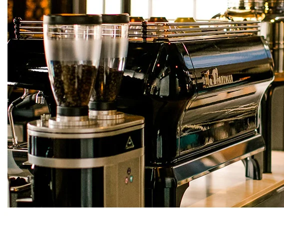 Larmarzocco  cropped .jpg