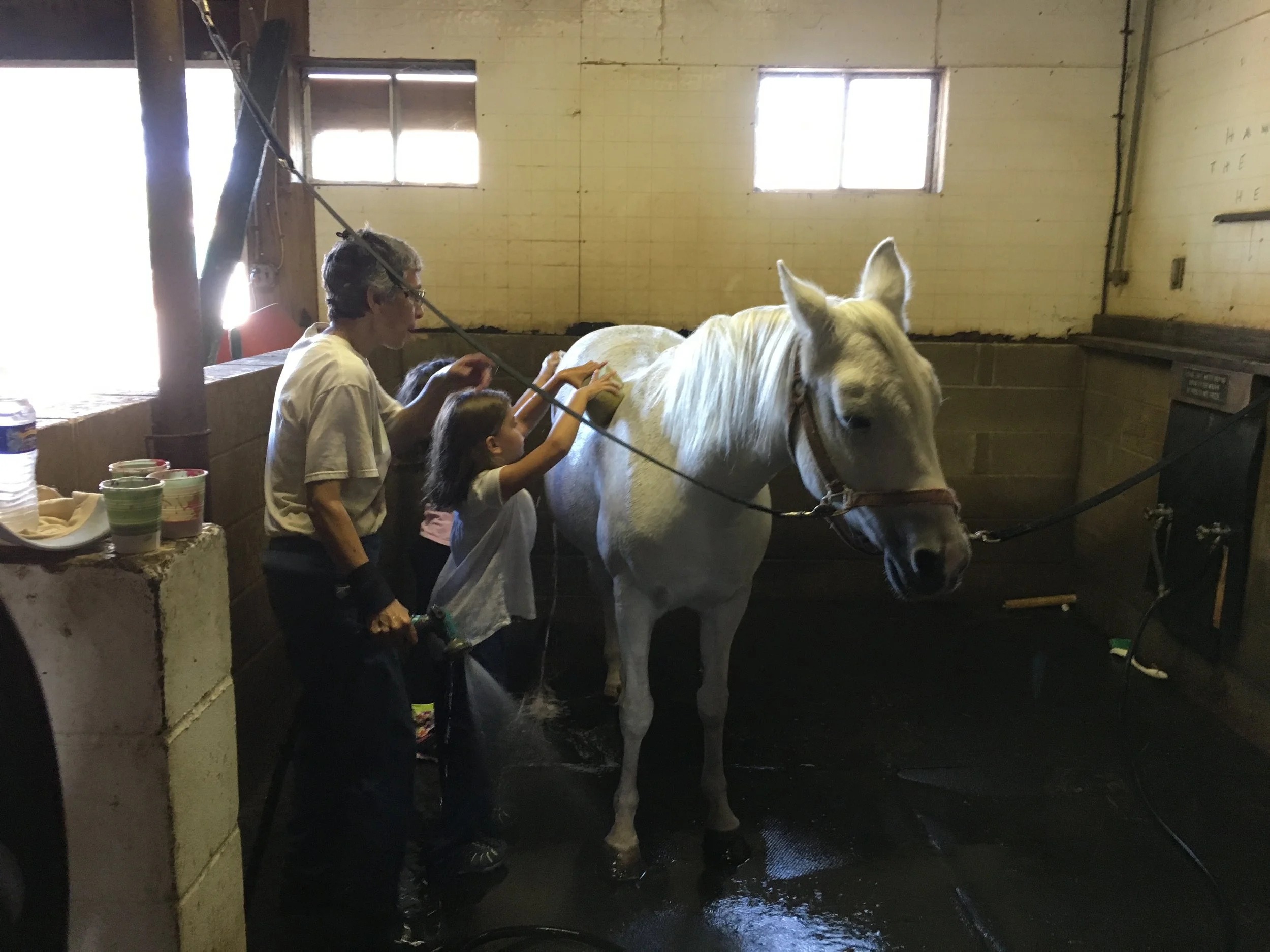 Washing Pony.JPG