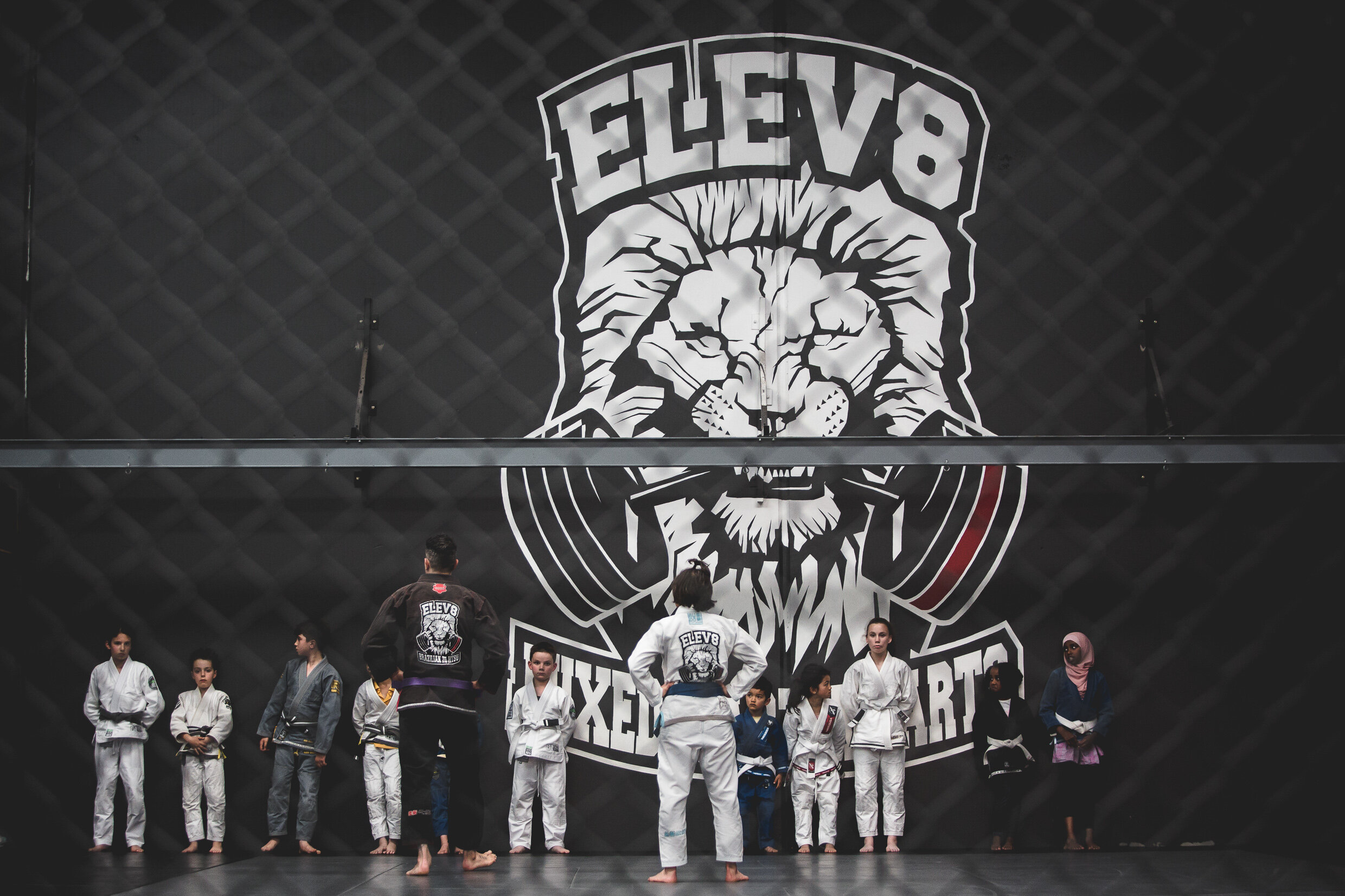 ELEV8 MMA 2020