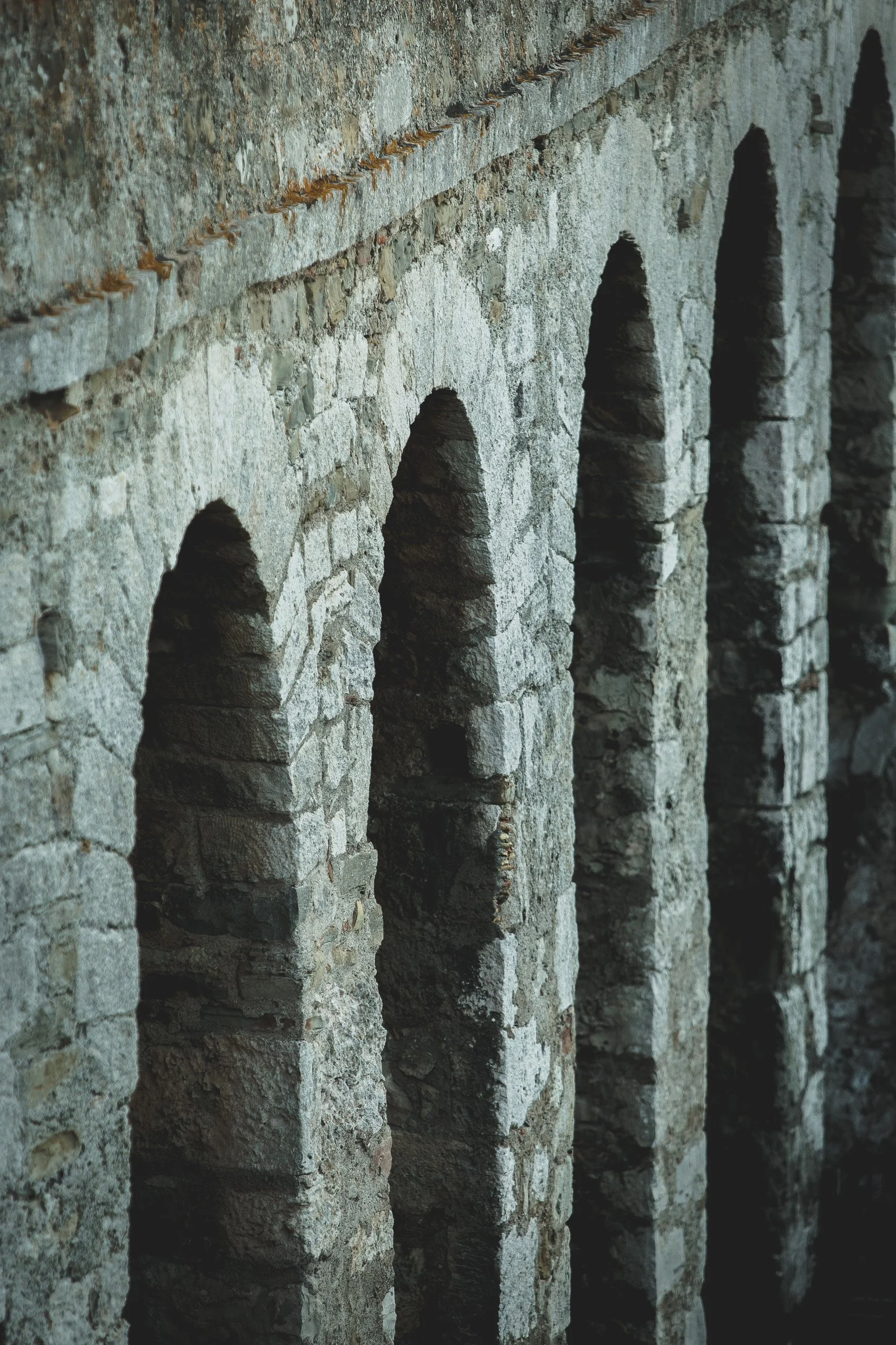 6D9B9139.jpg