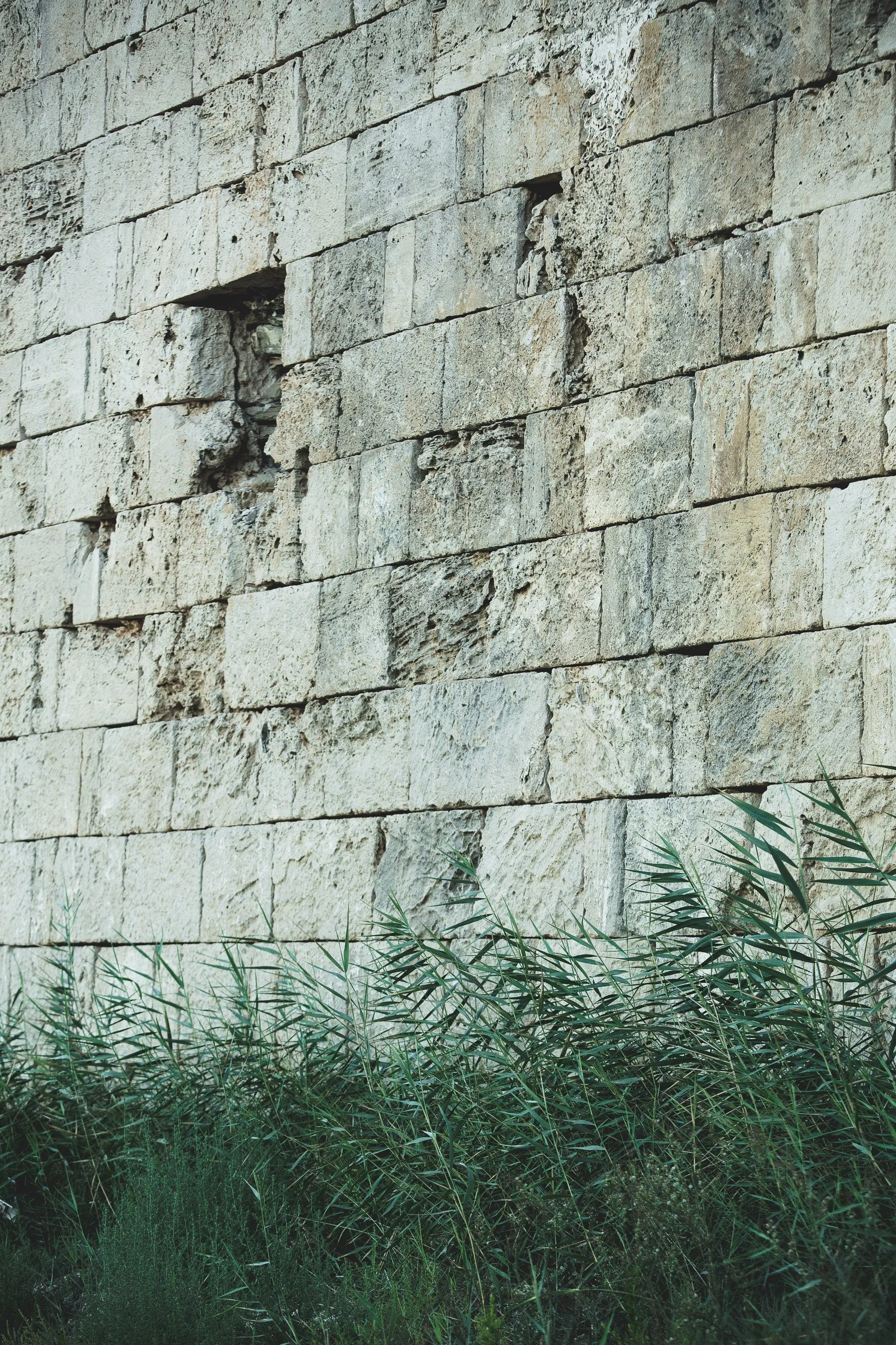 6D9B9191.jpg