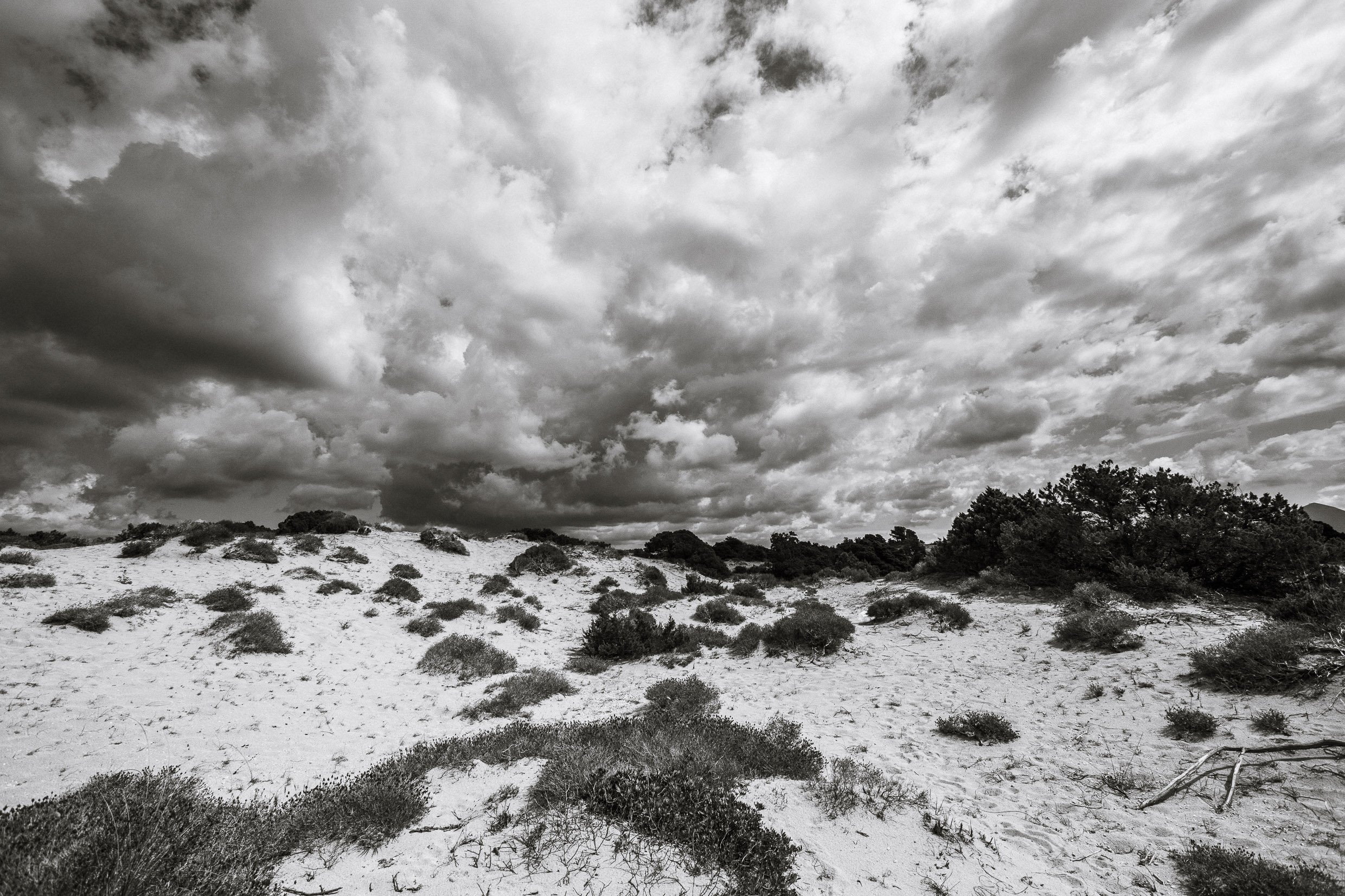 hex38-96.jpg