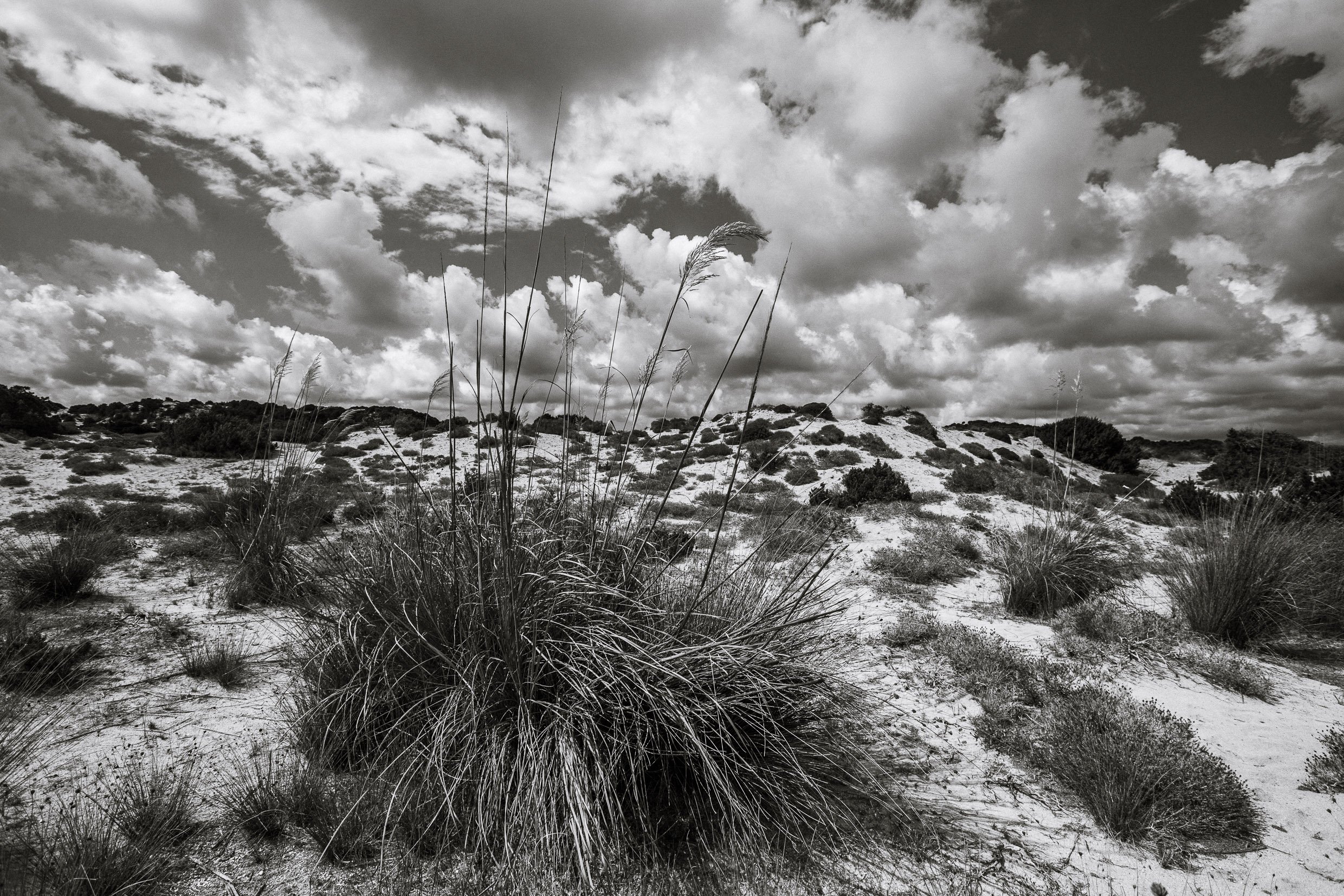 hex38-97.jpg
