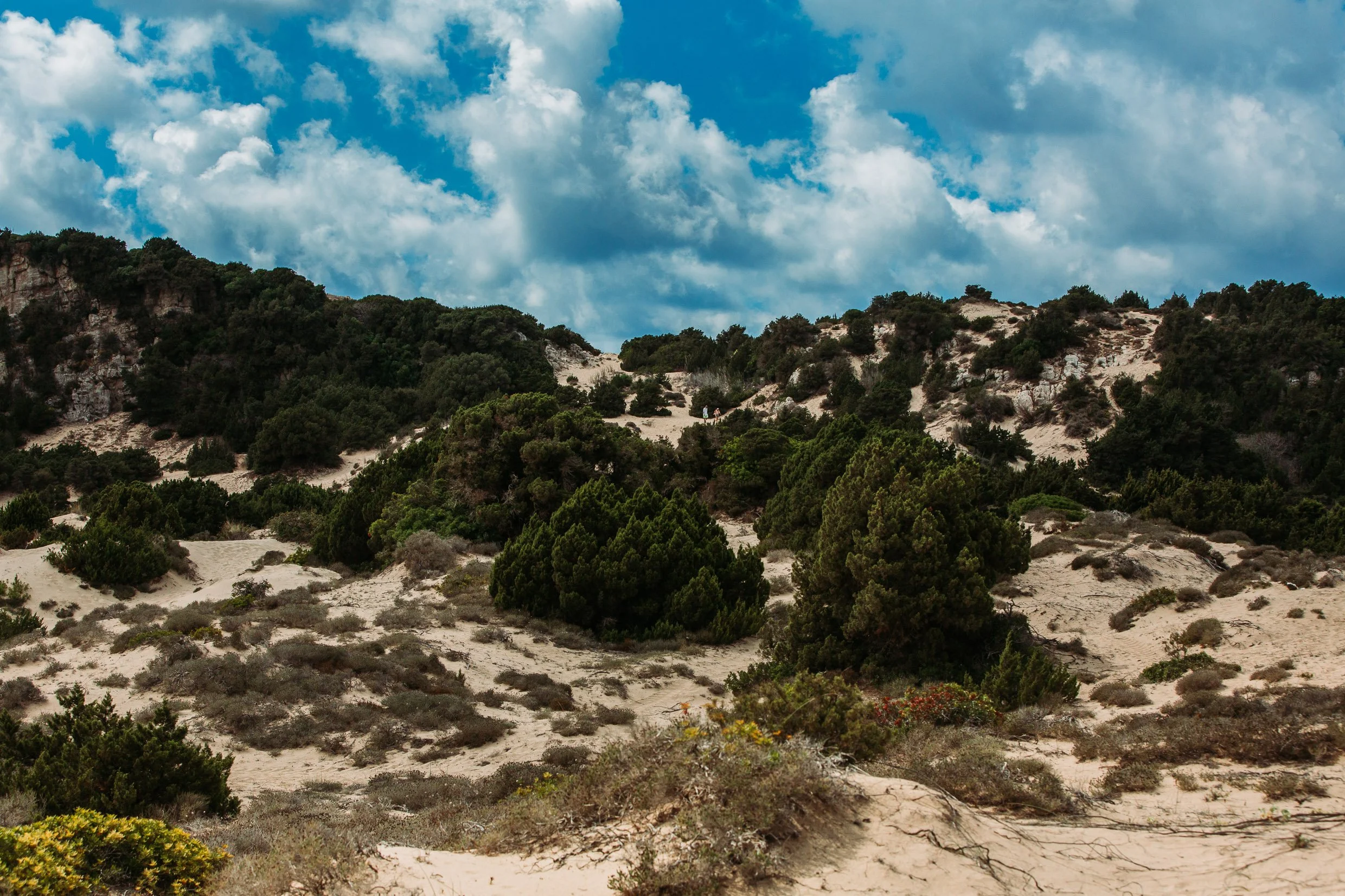 hex38-100.jpg