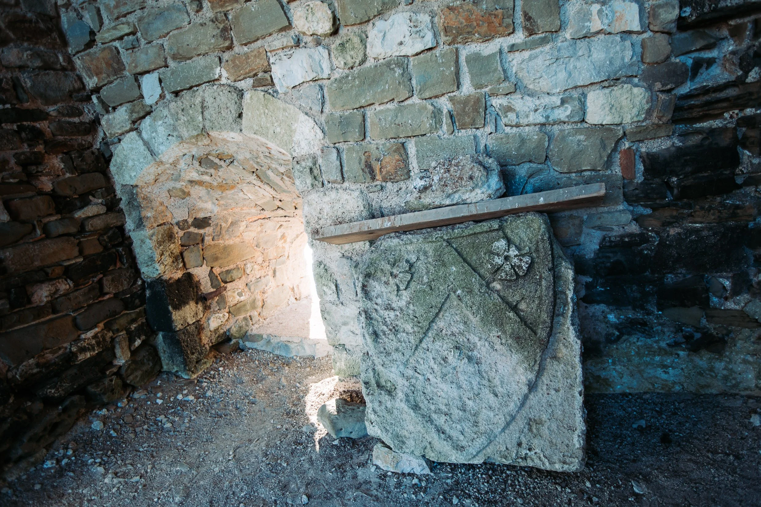 PEL-25.jpg