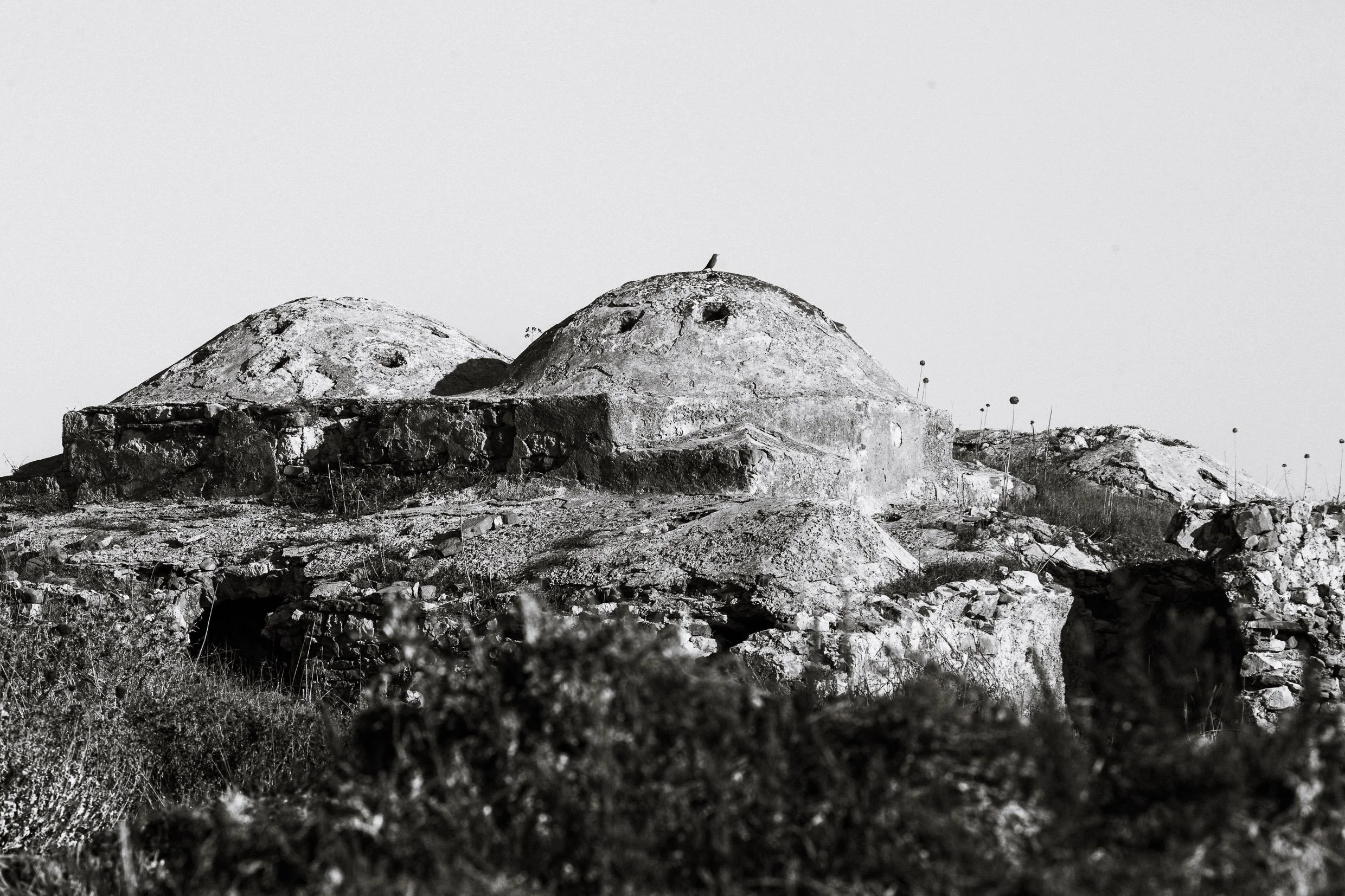PEL-40.jpg