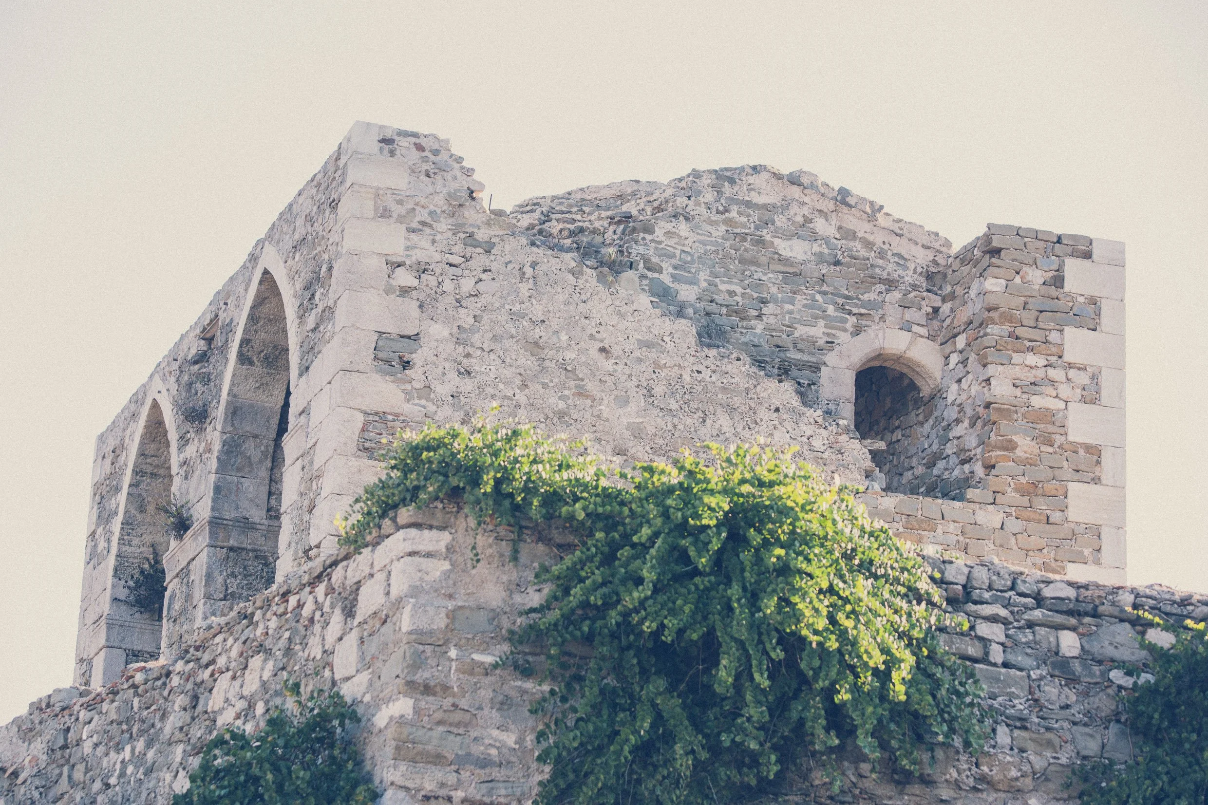 PEL-108.jpg