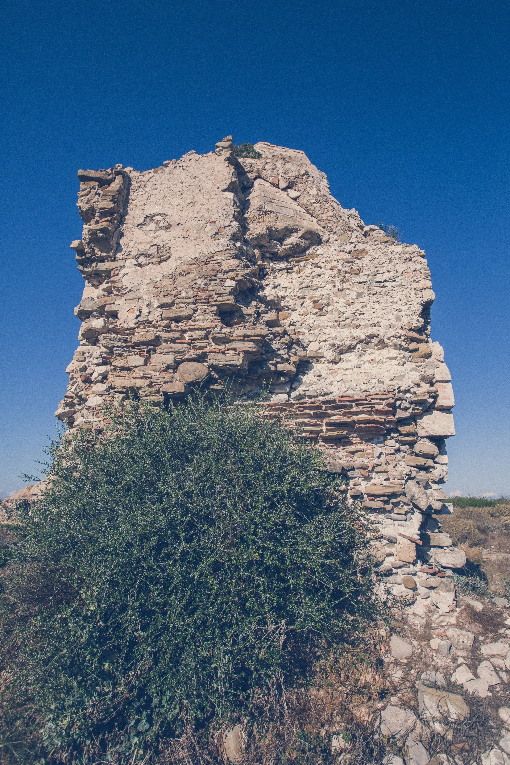 PEL-115.jpg