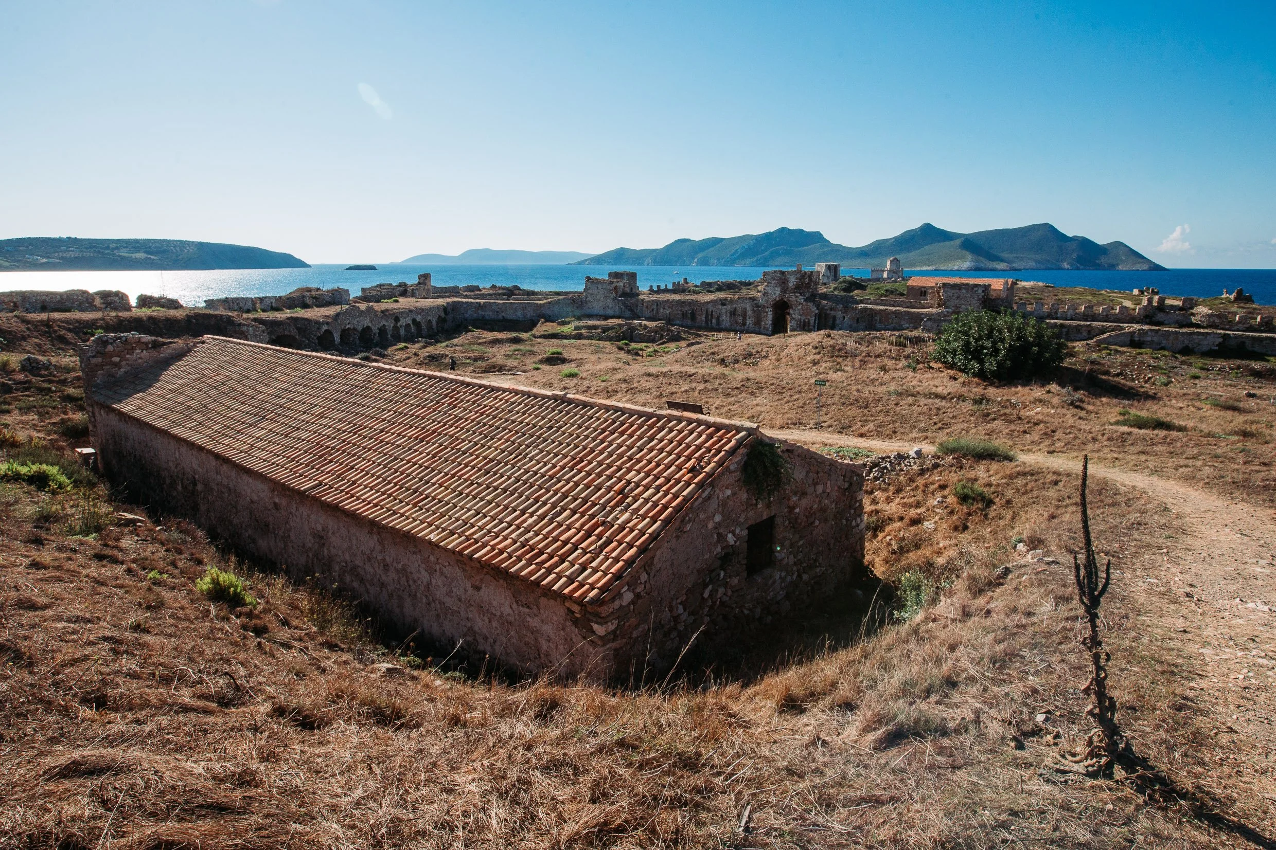 PEL-174.jpg