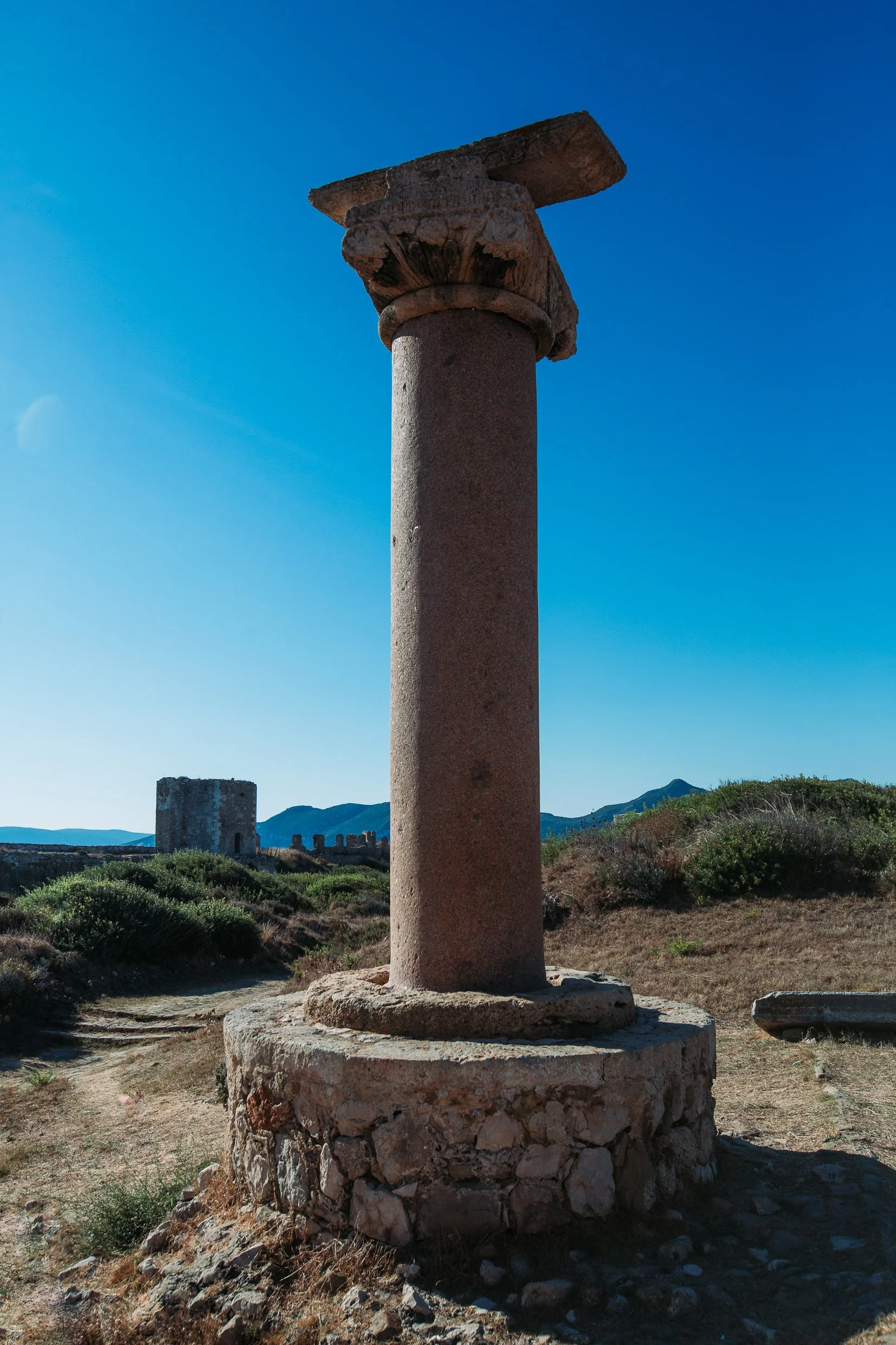 PEL-177.jpg