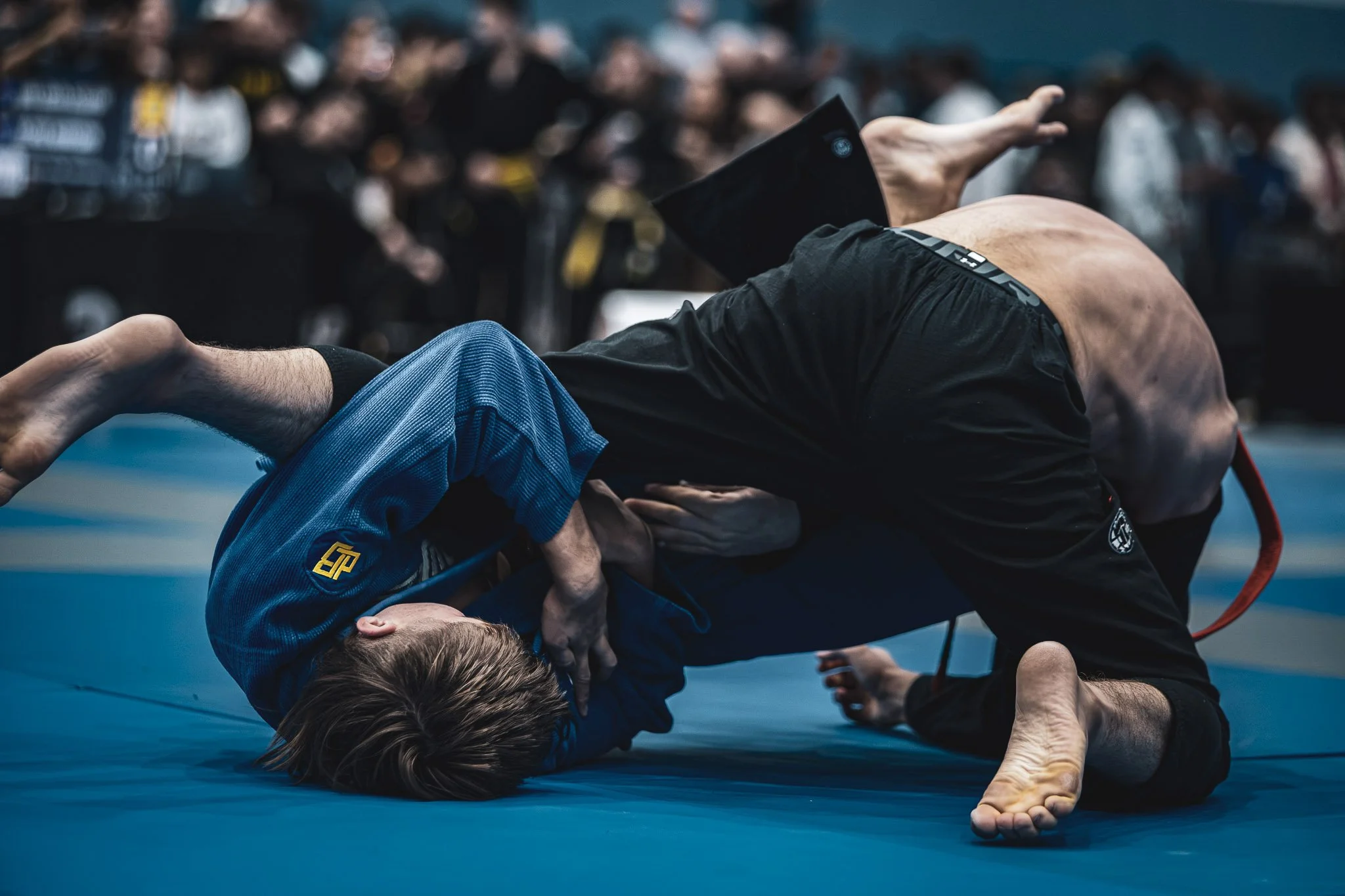 AJJC-2011.jpg