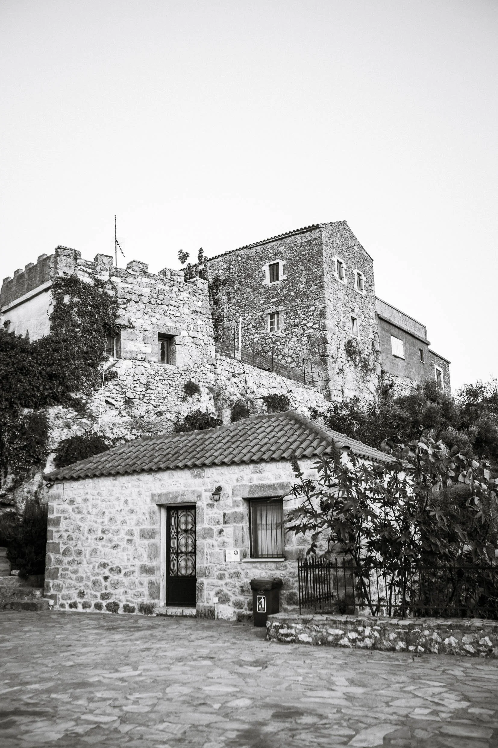6D9B0120.jpg