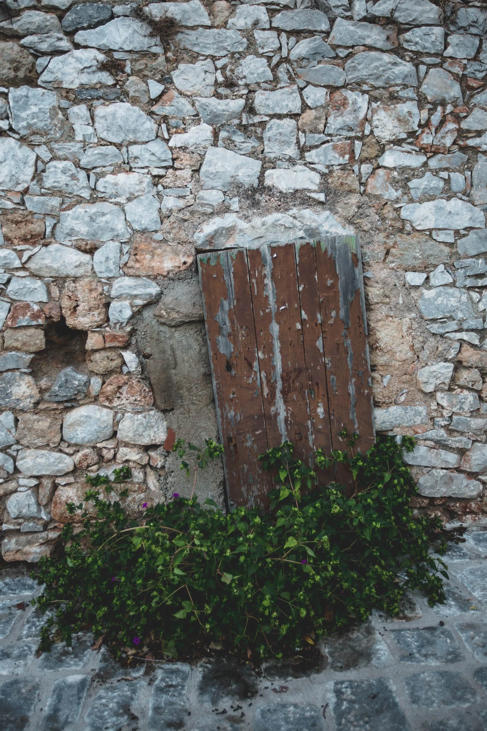 6D9B0150.jpg
