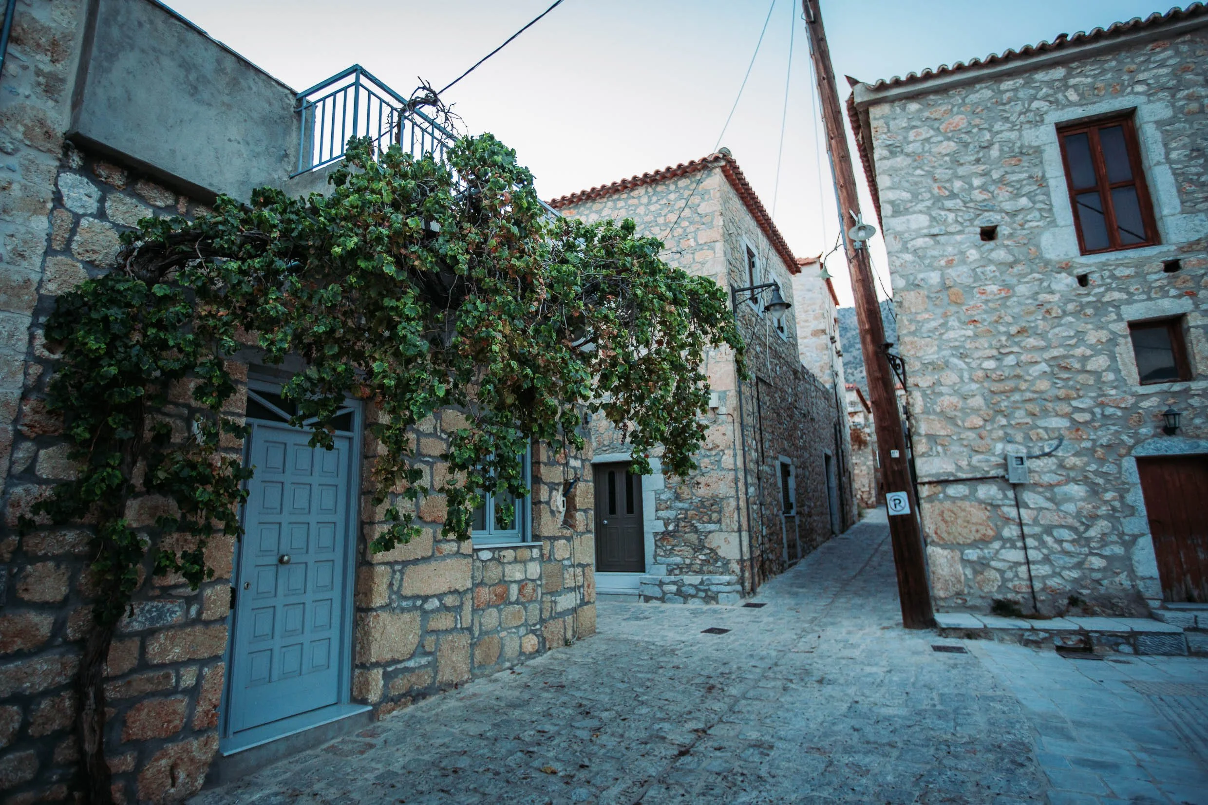 6D9B0177.jpg