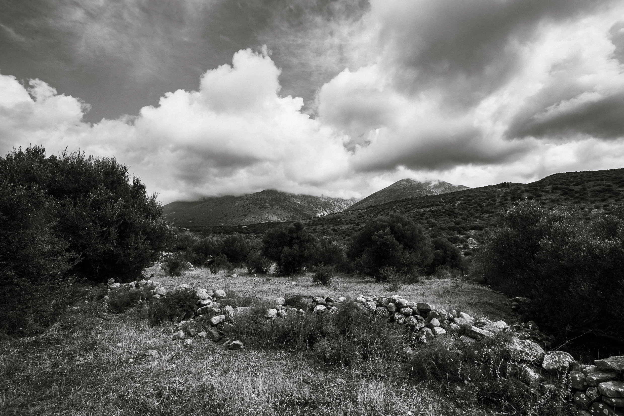 6D9B0202.jpg