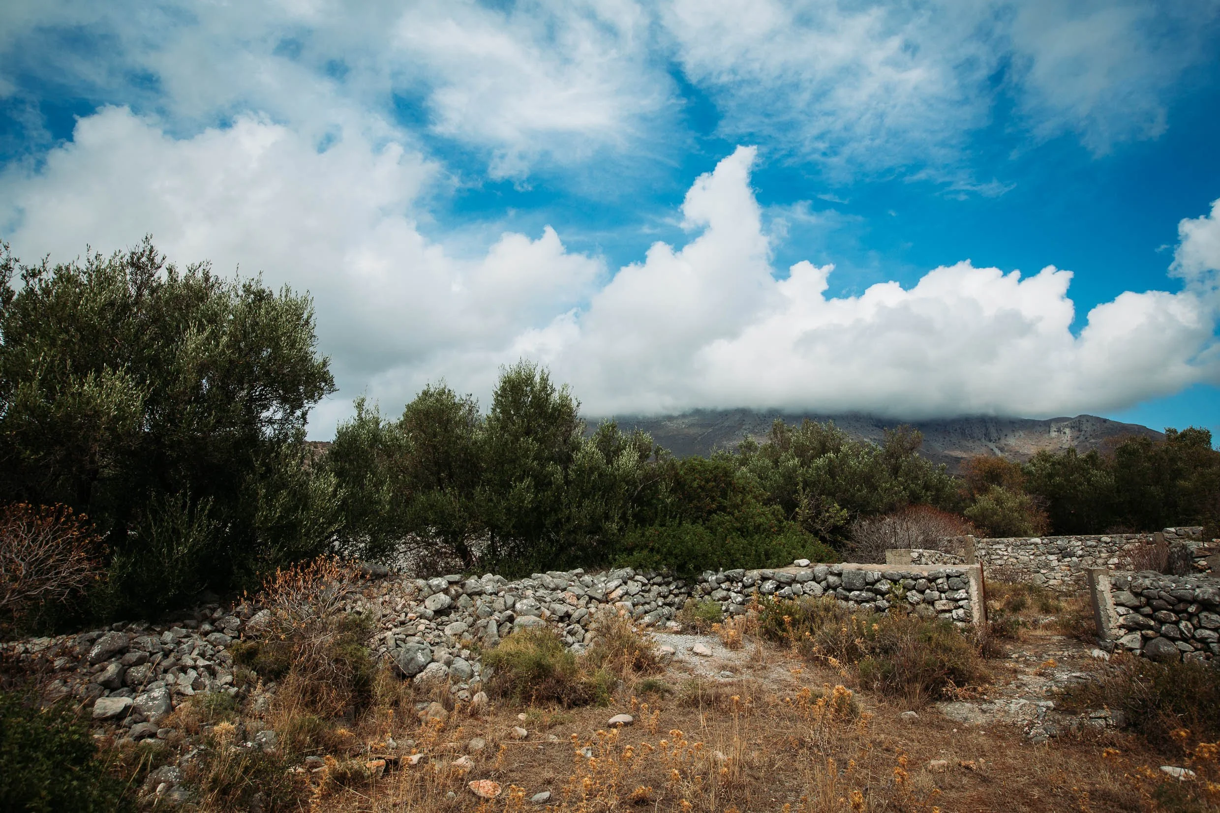 6D9B0214.jpg