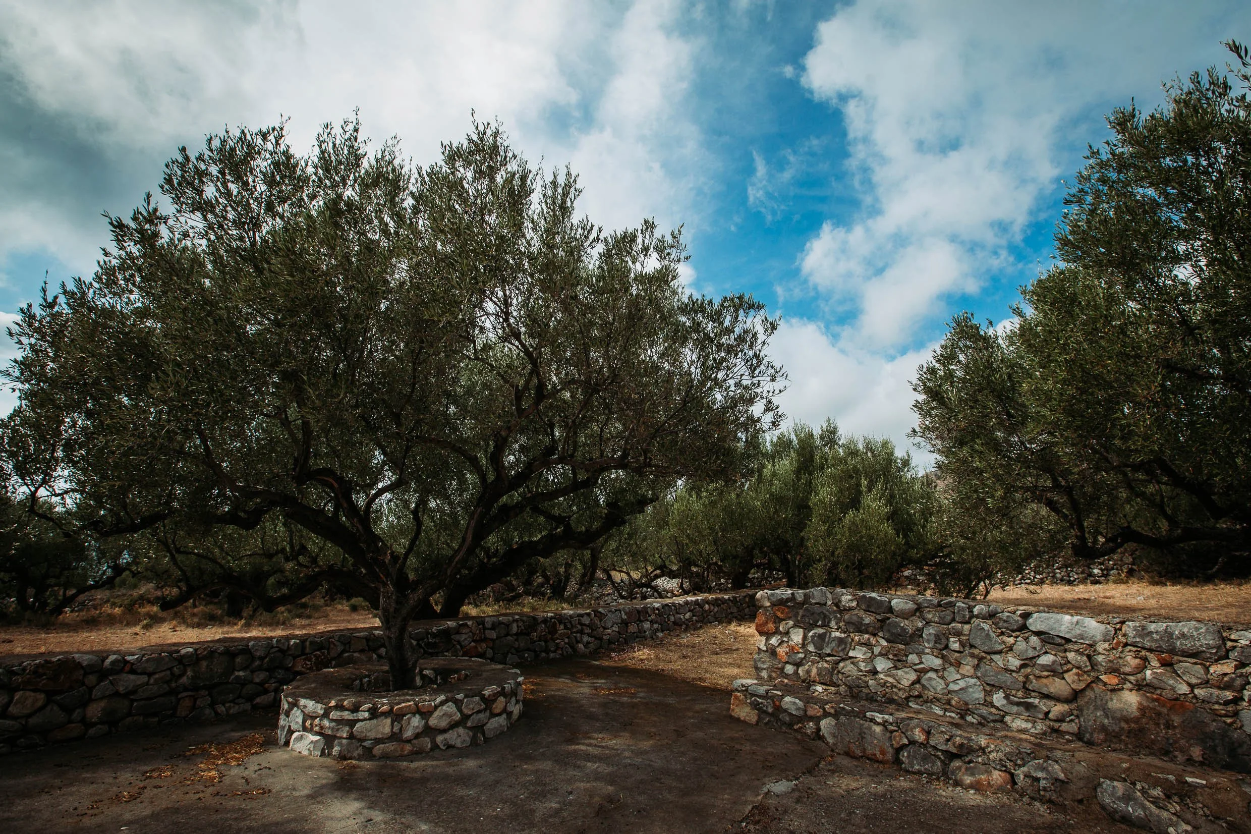 6D9B0219.jpg