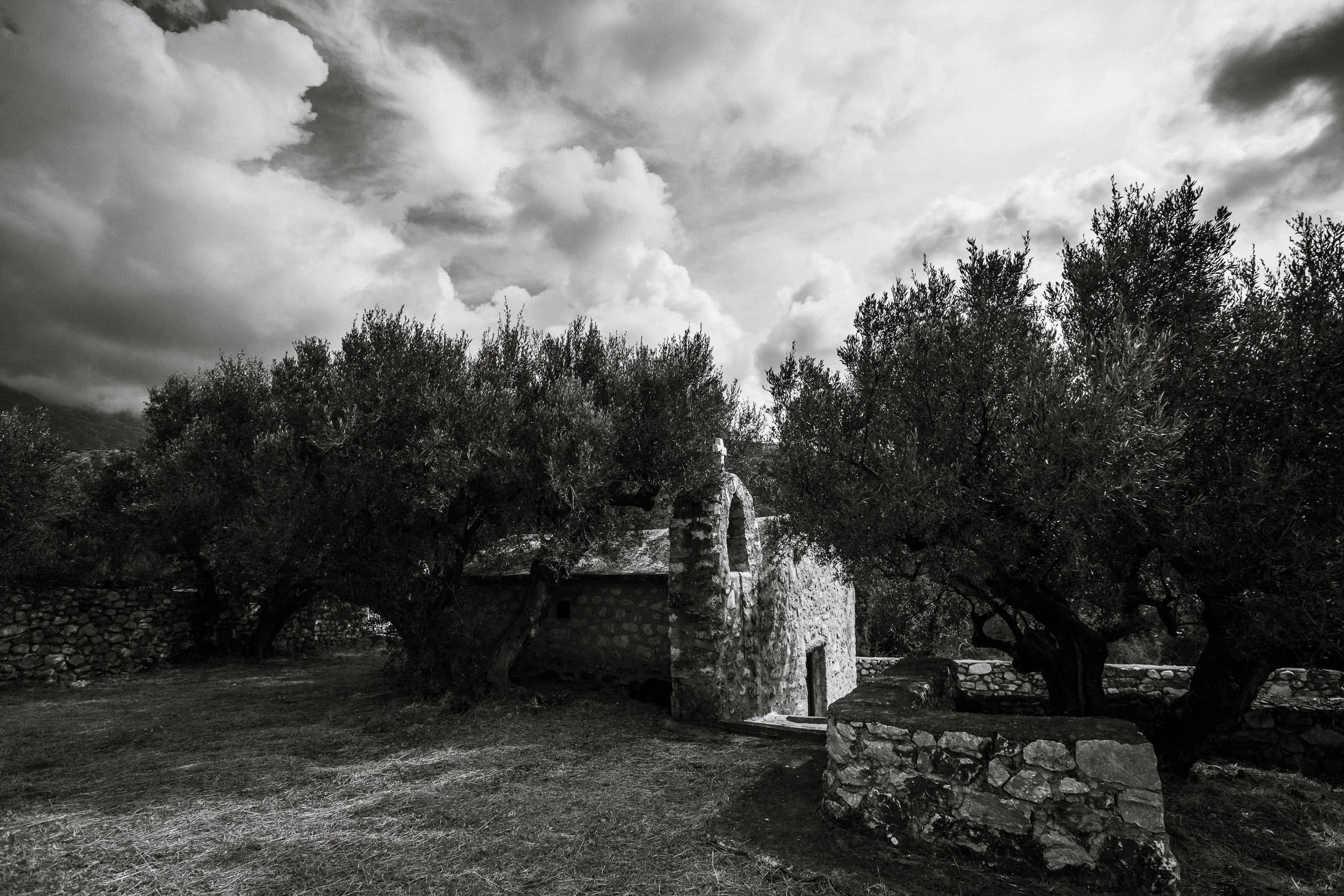 6D9B0240.jpg