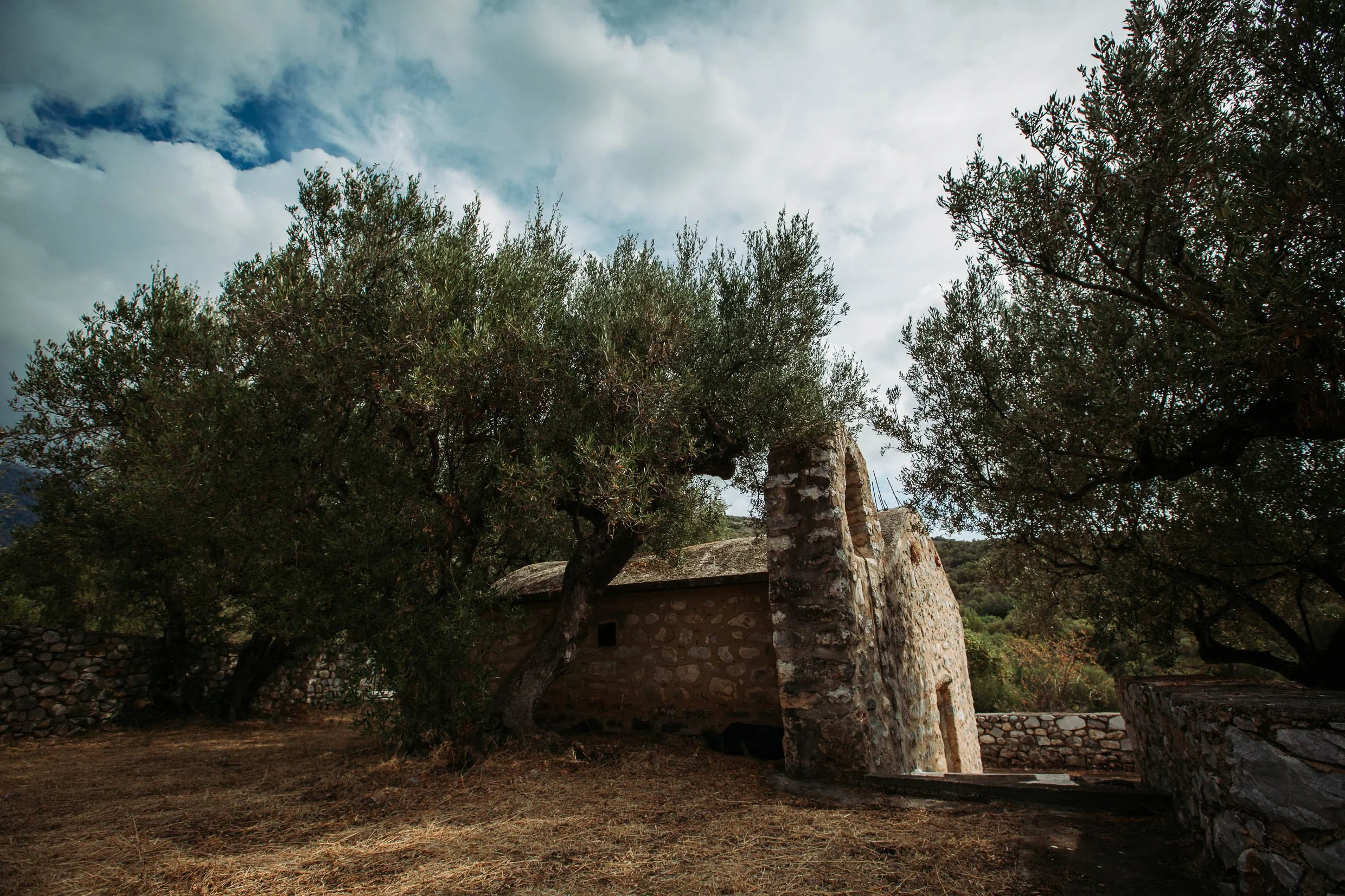 6D9B0241.jpg