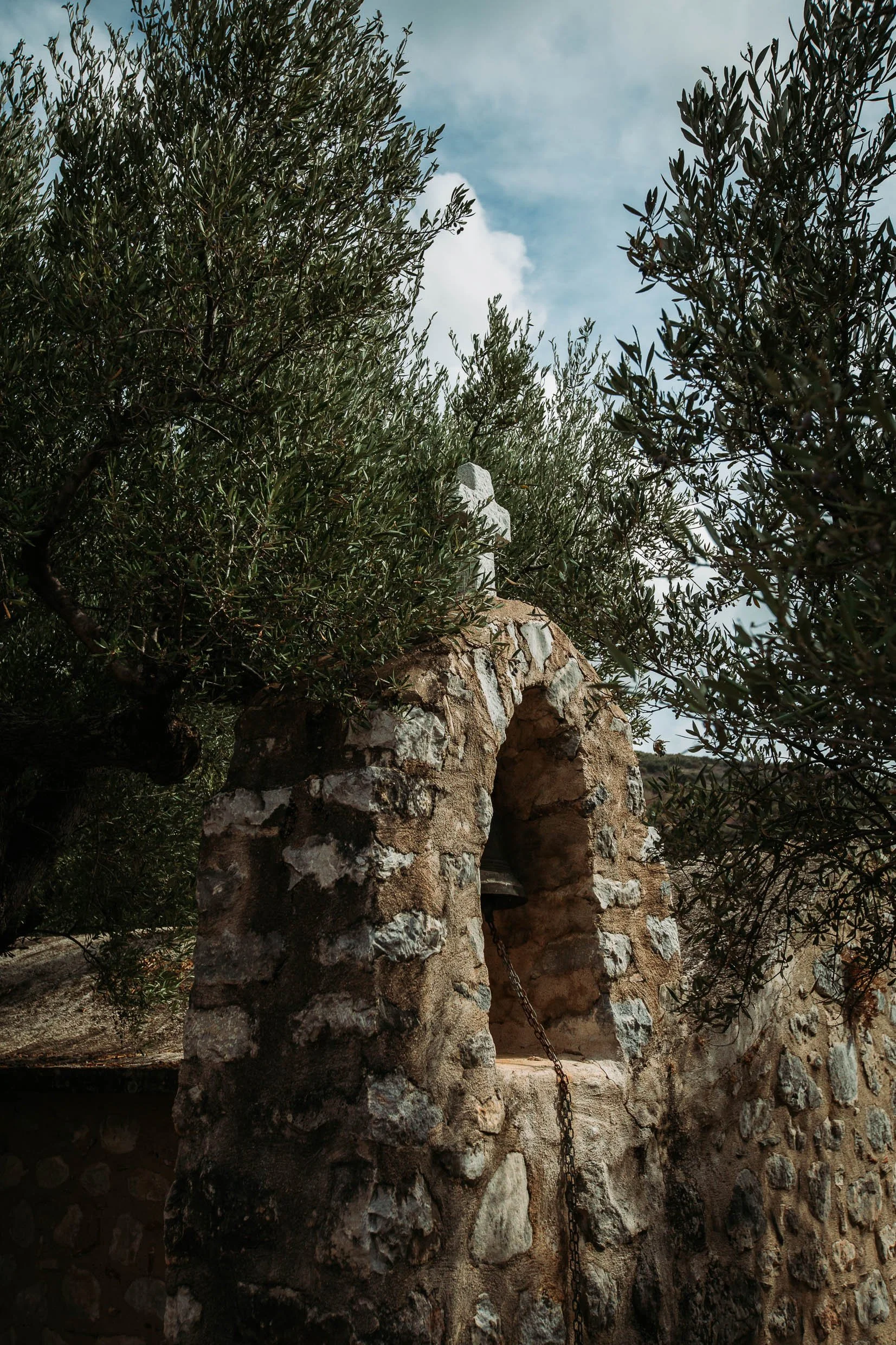 6D9B0243.jpg