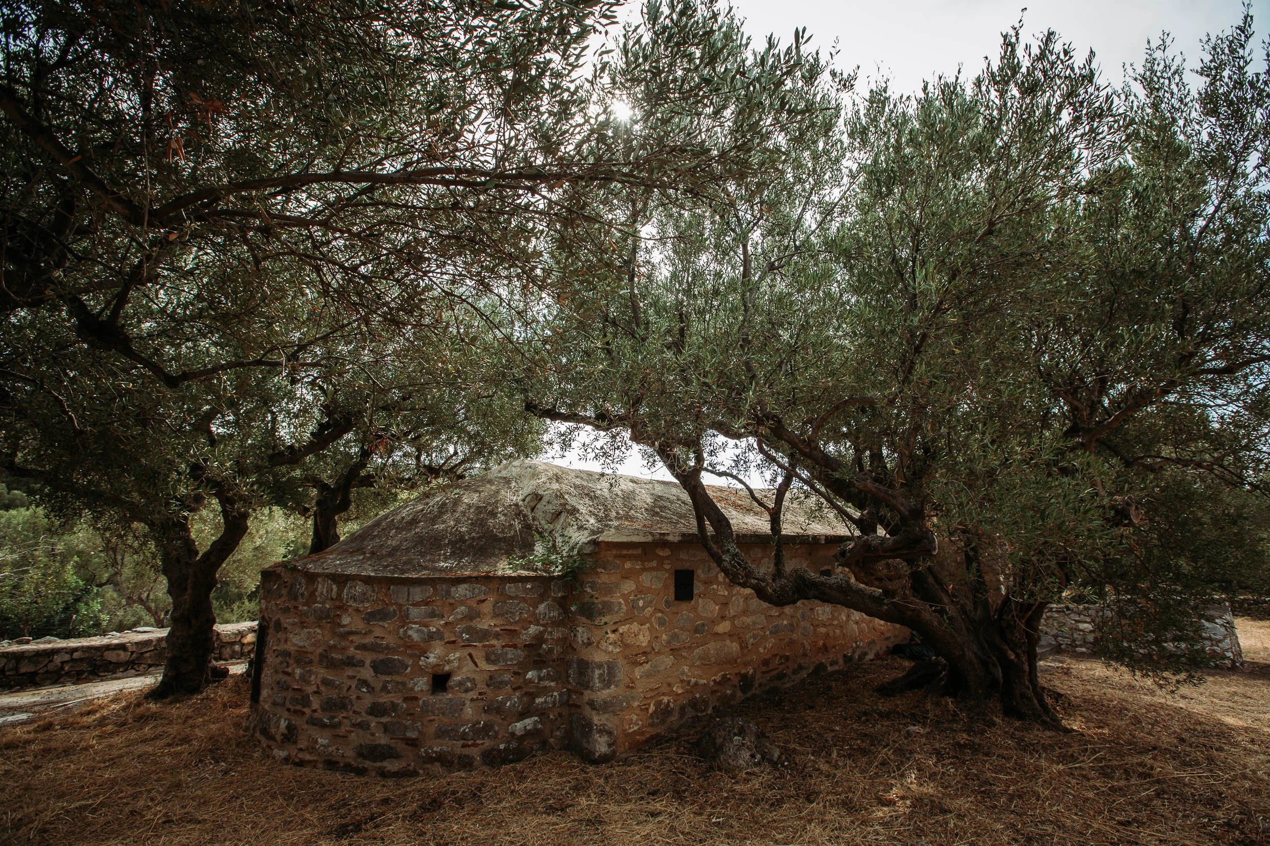 6D9B0247.jpg