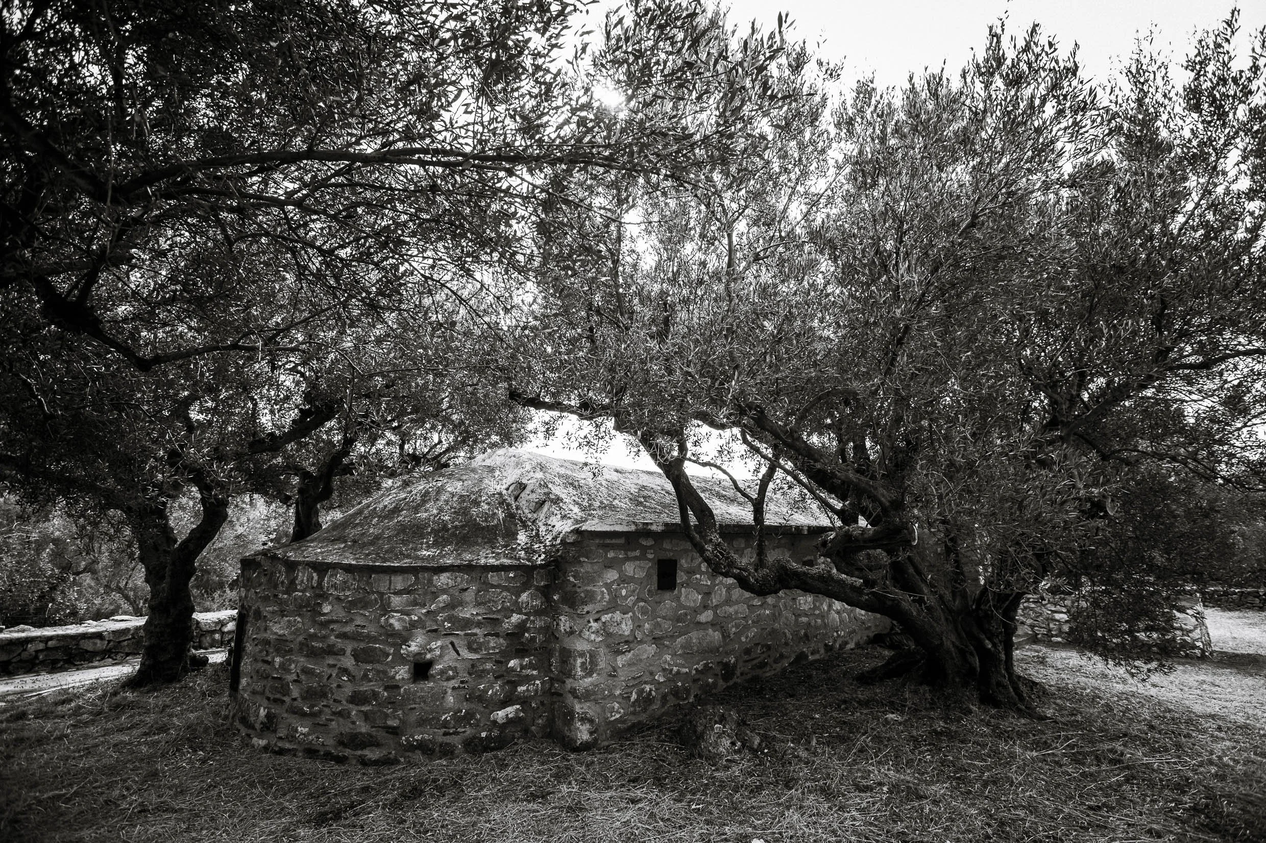 6D9B0248.jpg